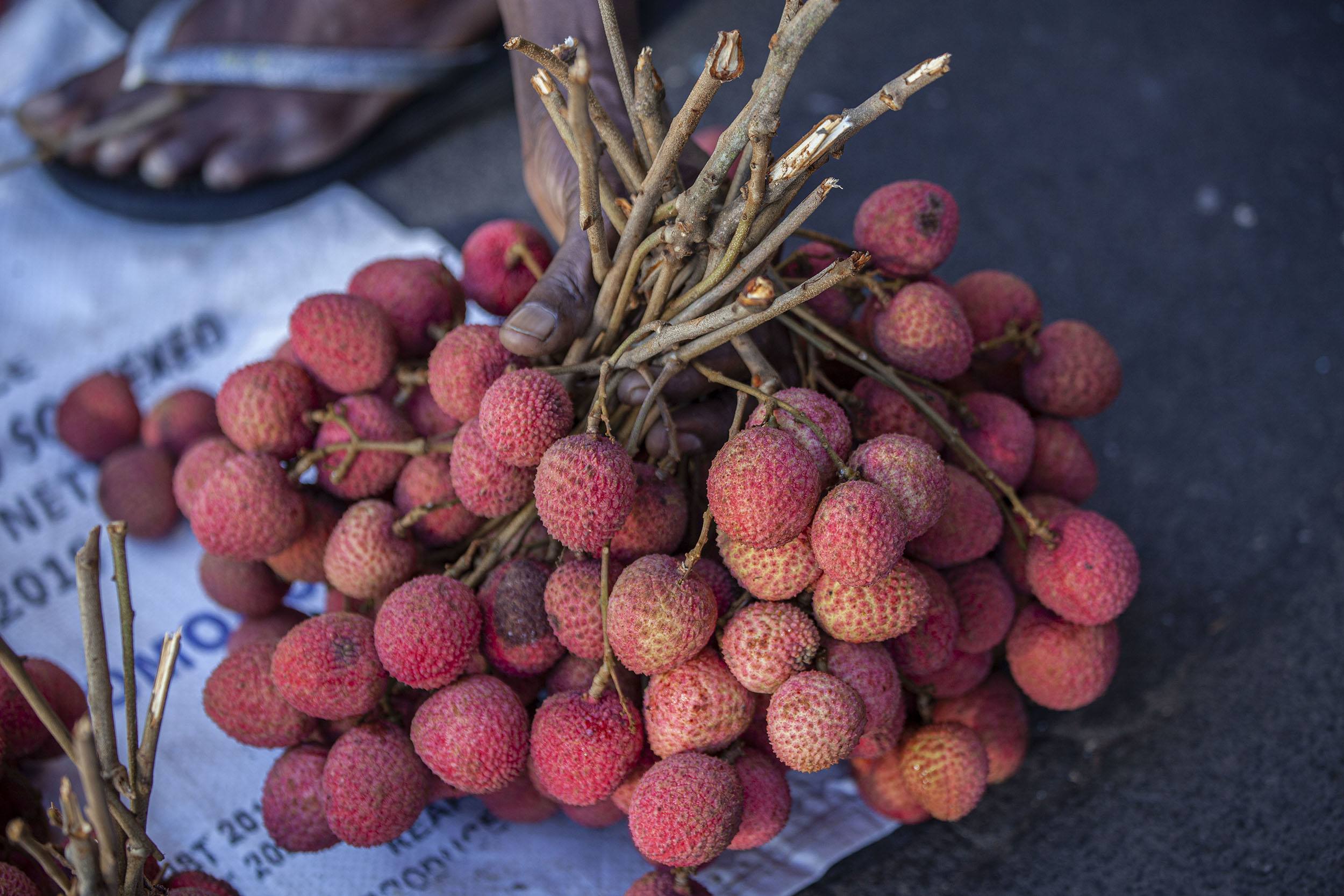 Hands holding lychees for sale in Volo Volo markets Moroni Comoros