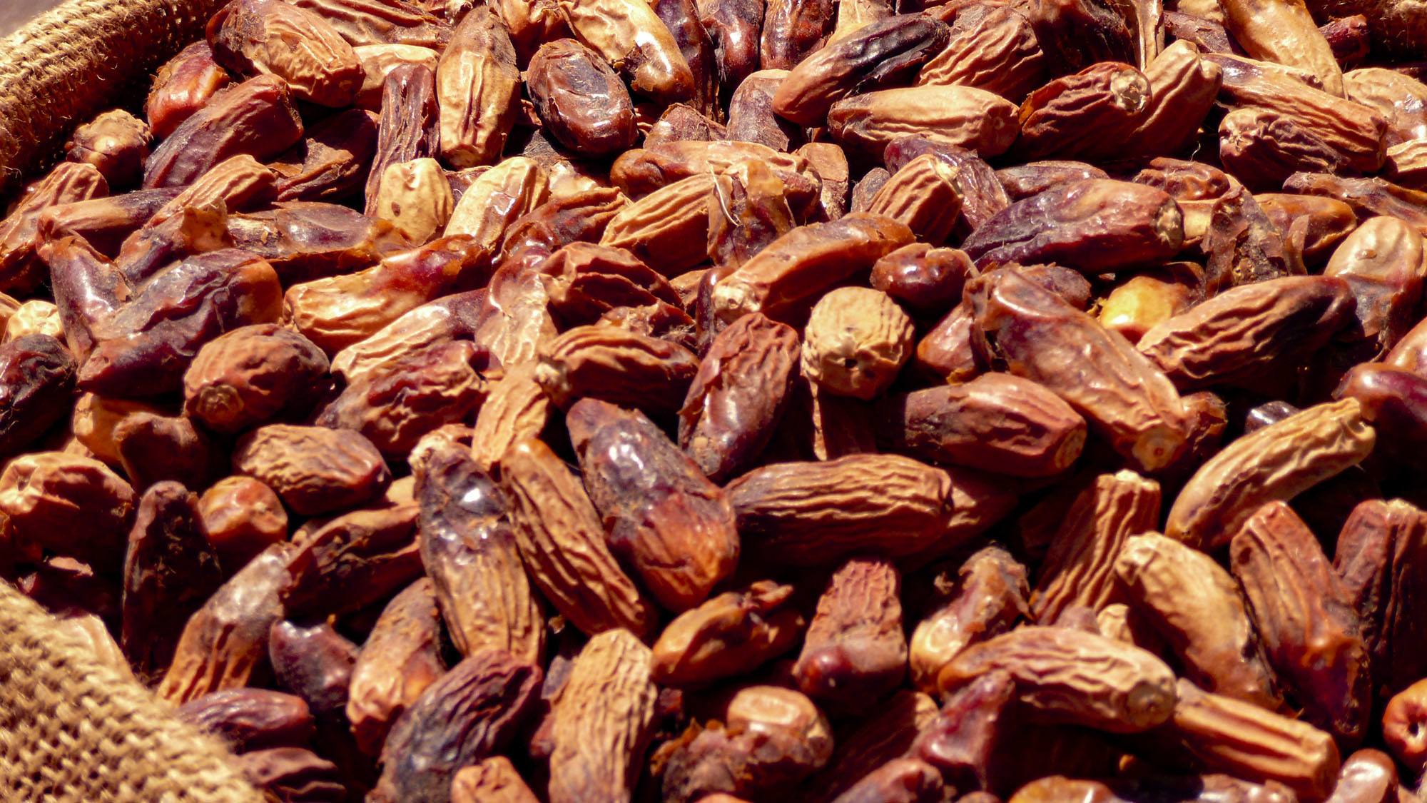 Dates at market in Cairo Egypt