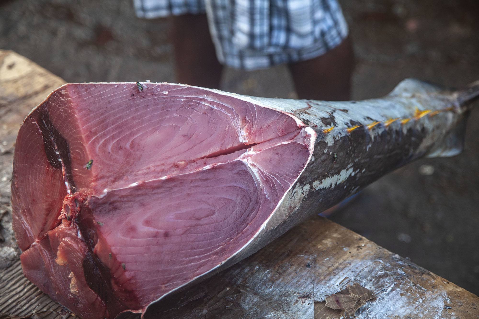 Tuna on table at market in Mutsamudu Anjouan Comoros