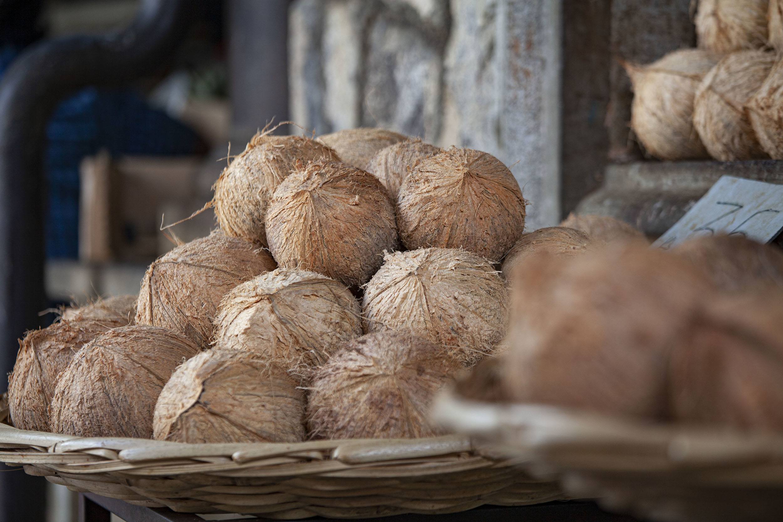 coconuts at central market in Port Louis Mauritius
