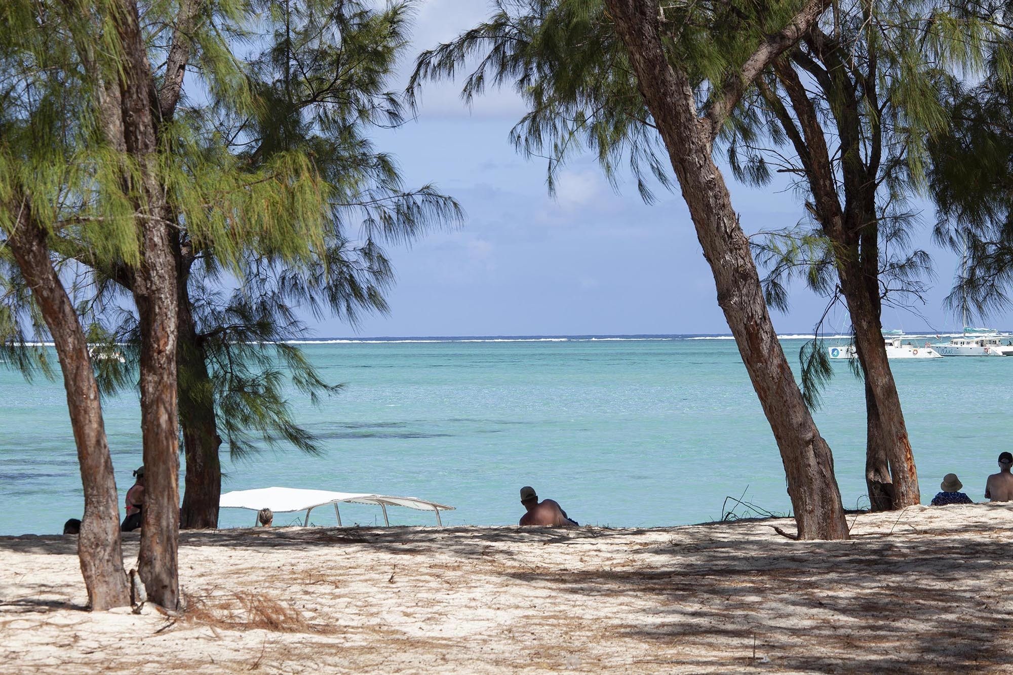 trees lining beach Ile des Cerfs Mauritius