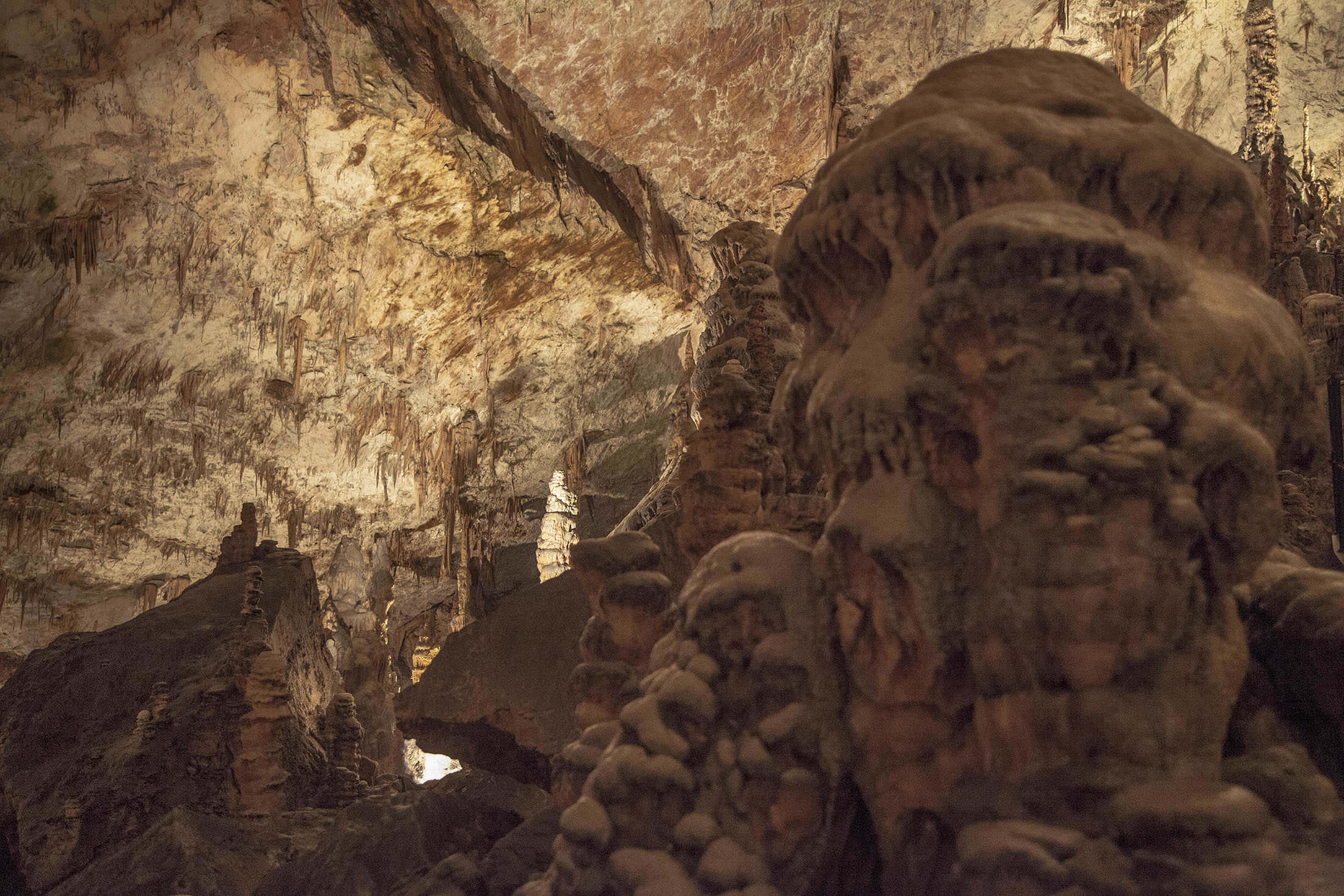Beautiful formations inside Postojna Caves Slovenia