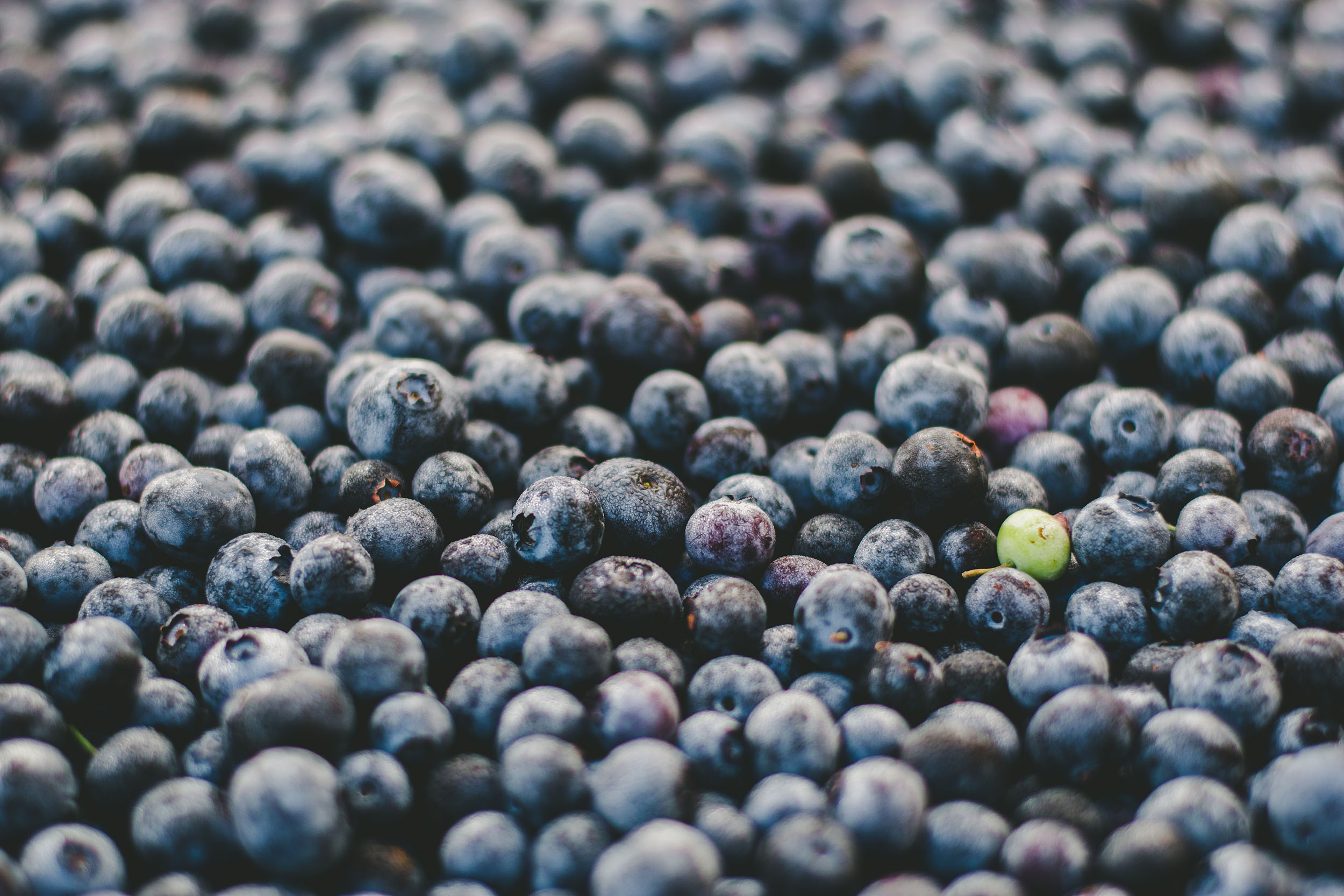 Berries at a market