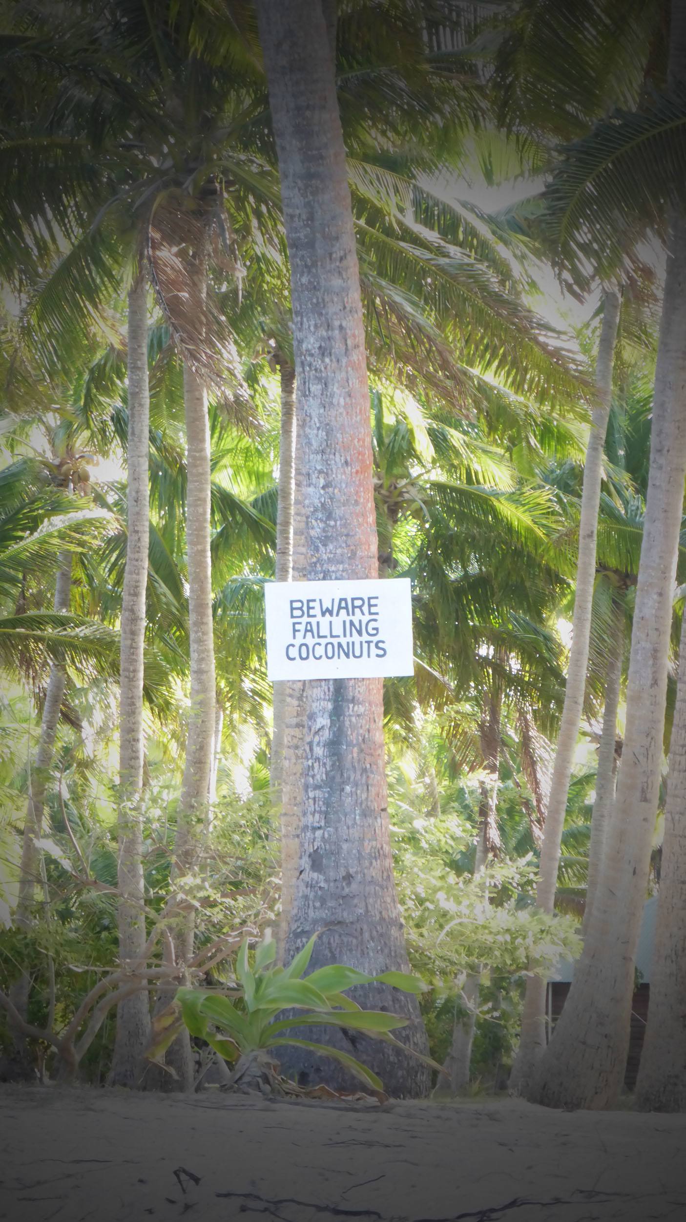 Beware of falling coconuts sign on Tavewa Island Fiji