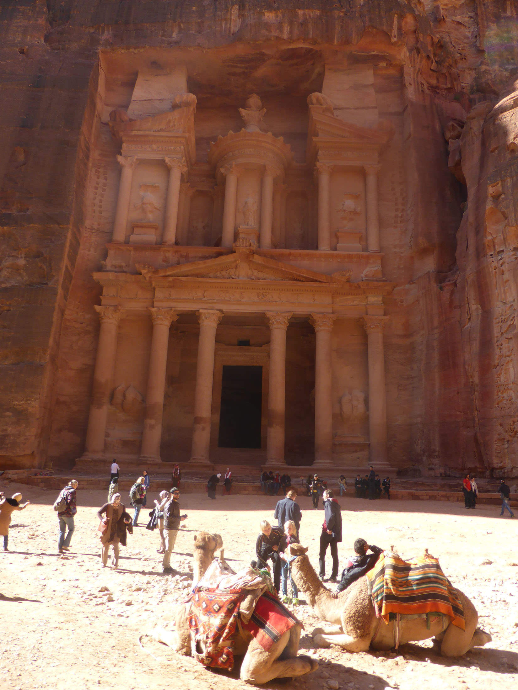 Camels sitting in the sun outside the Treasury of Petra Jordan