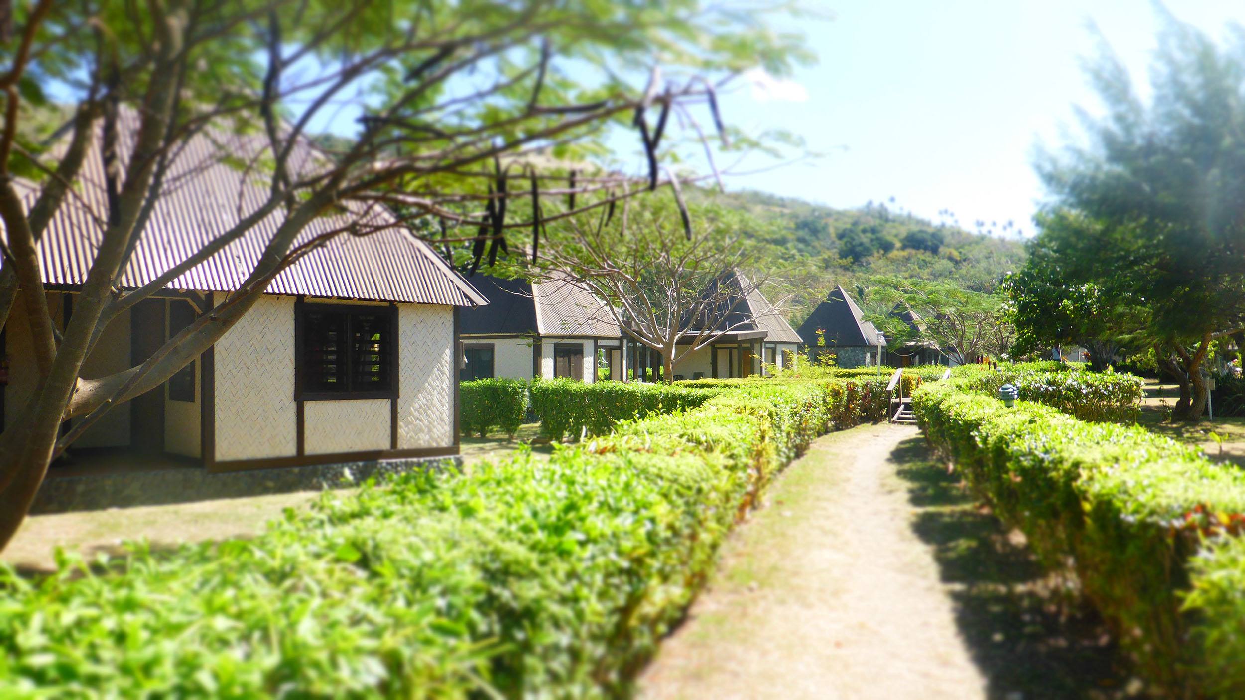 Coralview Island Resort bungalows on Tavewa Island Fiji