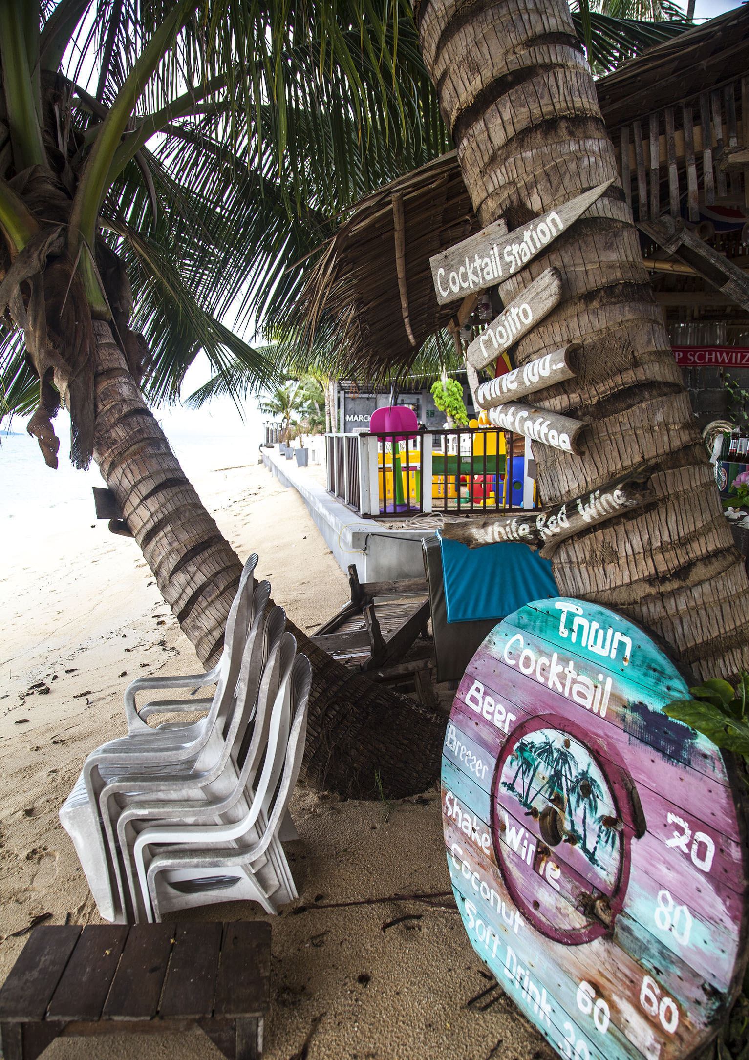 Directional palm tree on Bang Po beach Koh Samui Thailand