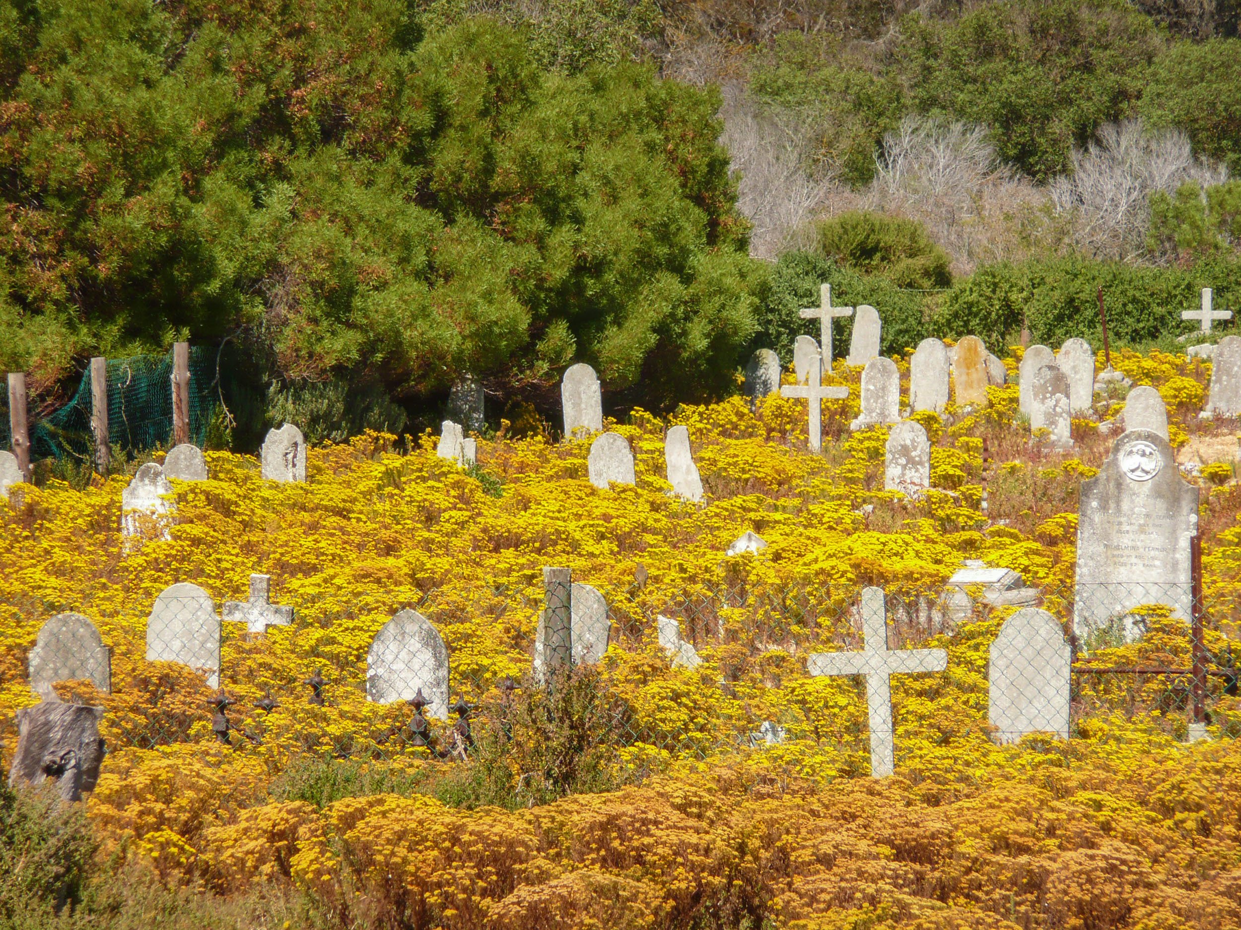 Graveyard on Robben Island South Africa