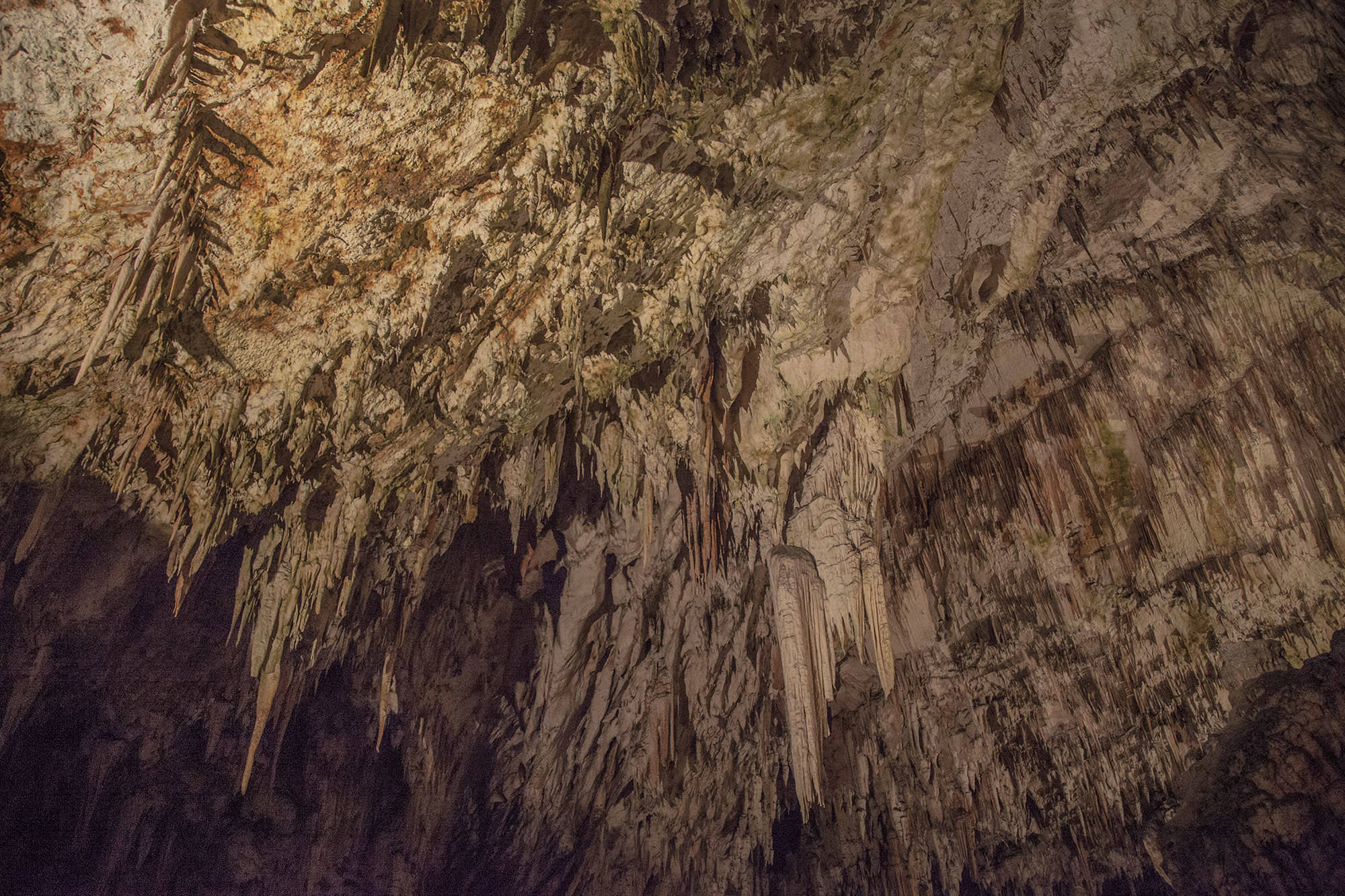 Inside Postojna Caves Slovenia