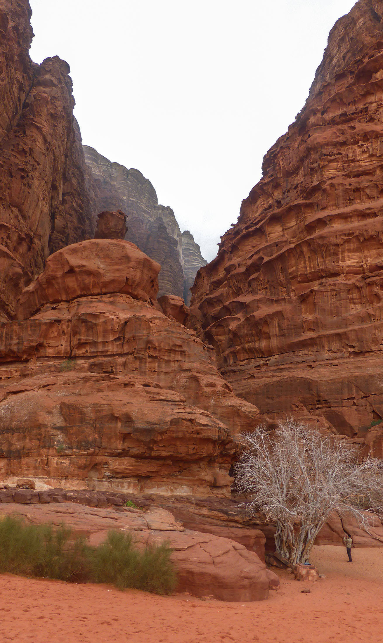 Jebel Khaz’ali Canyon (Siq) in Wadi Rum Jordan
