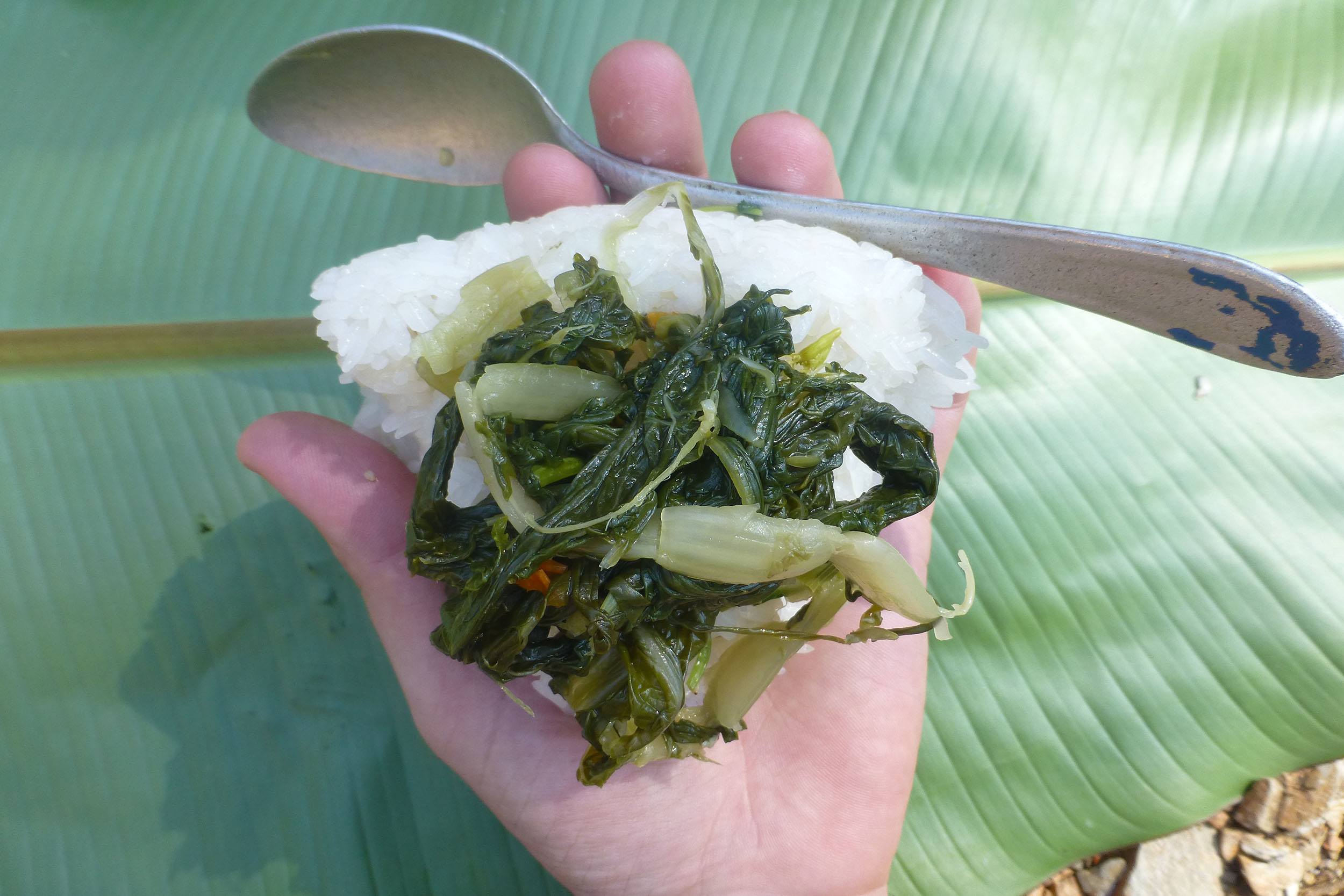 Lunch of rice and vegetables in Laotian jungle