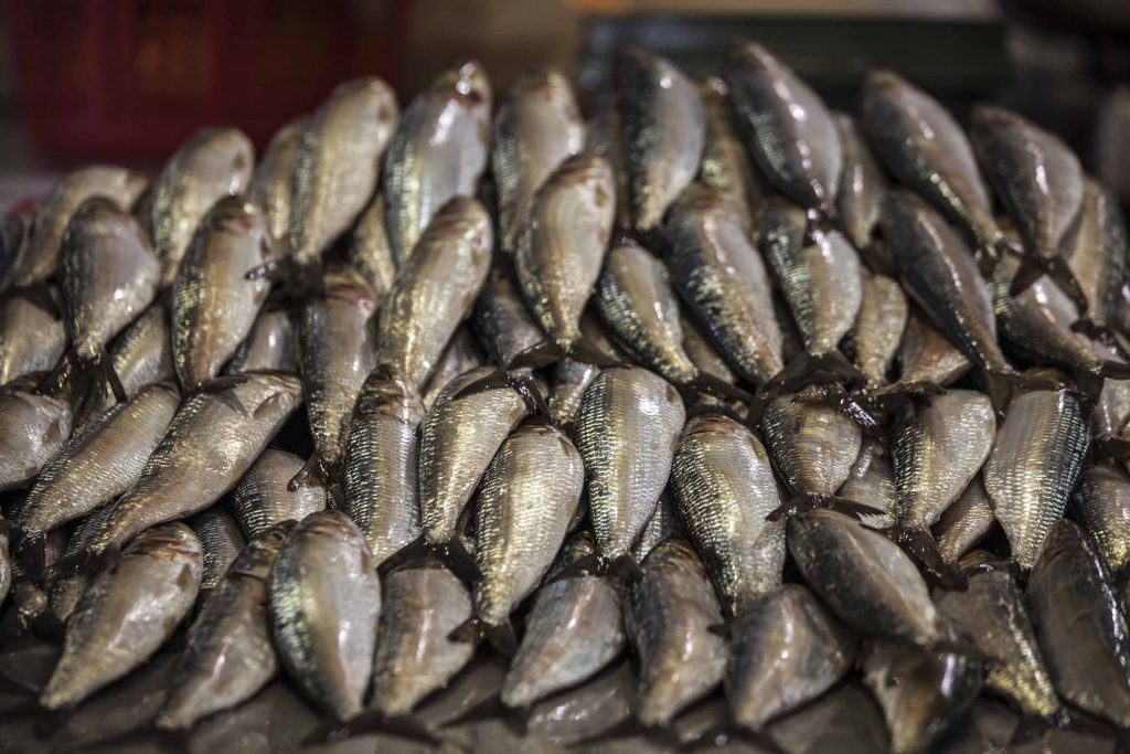 Neatly stacked pile of fish on market bench