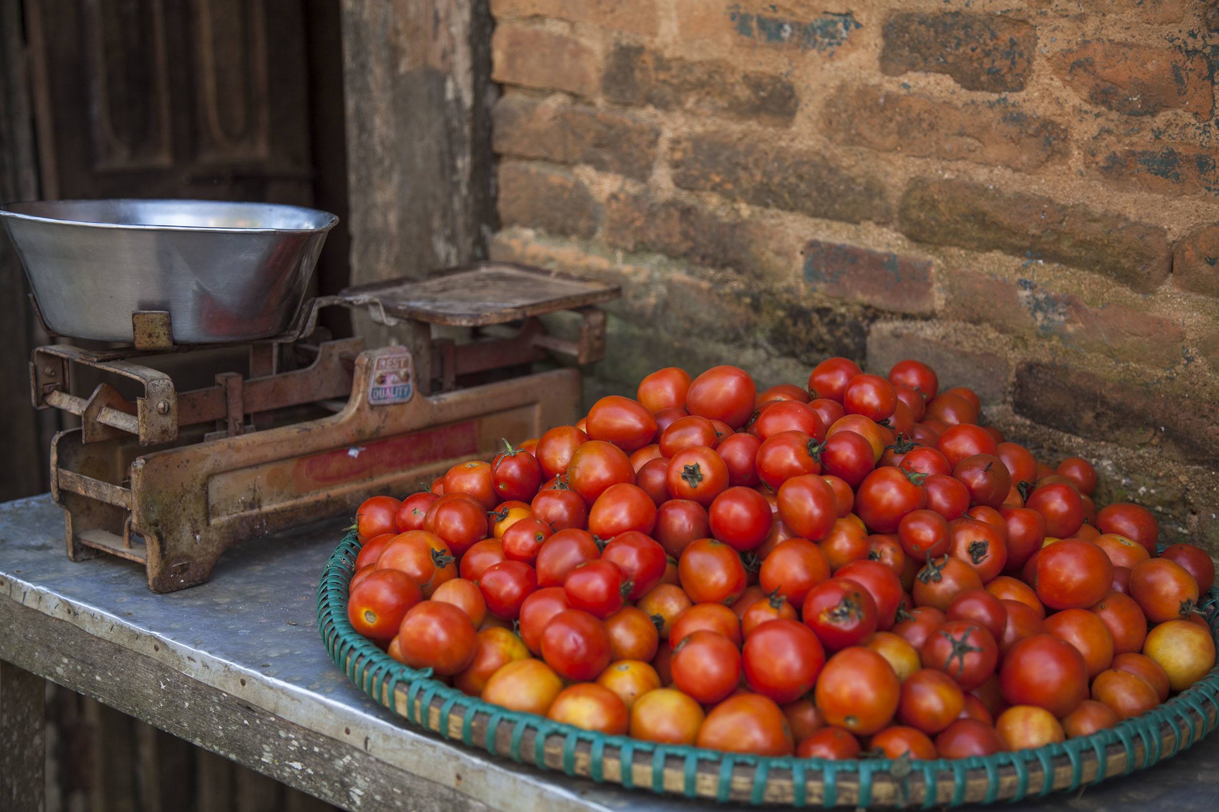 Ripe tomatoes on a market stall table