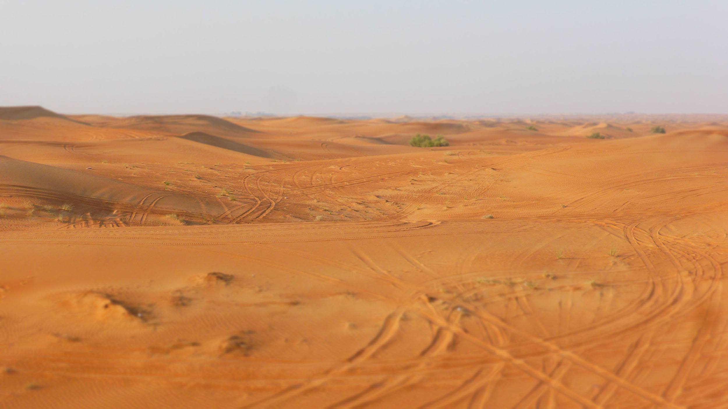 Sand dunes near Dubai United Arab Emirates