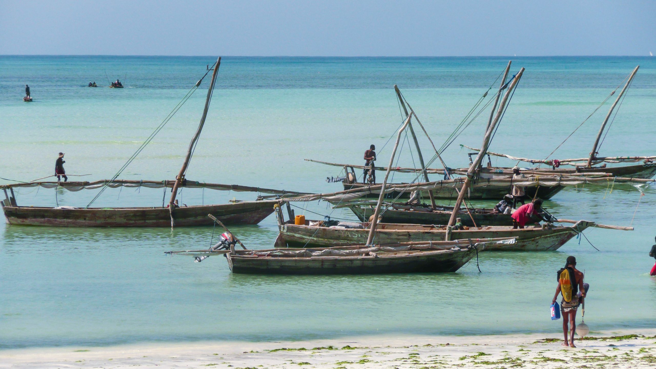 Several dhow floating on turquoise water off Nungwi Beach Zanzibar Tanzania