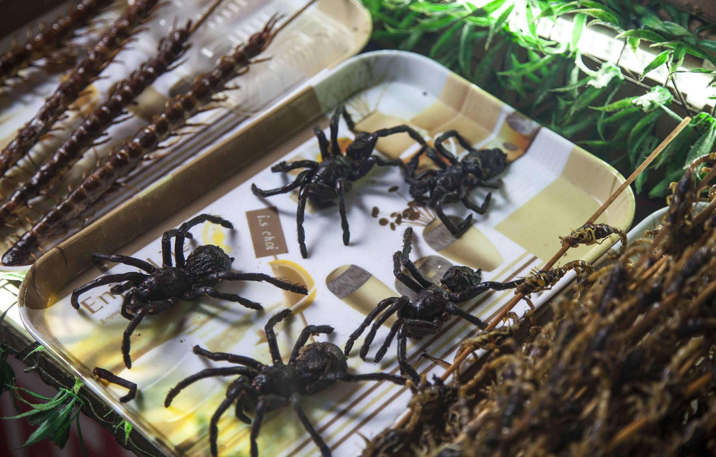 Spiders at a food market in China