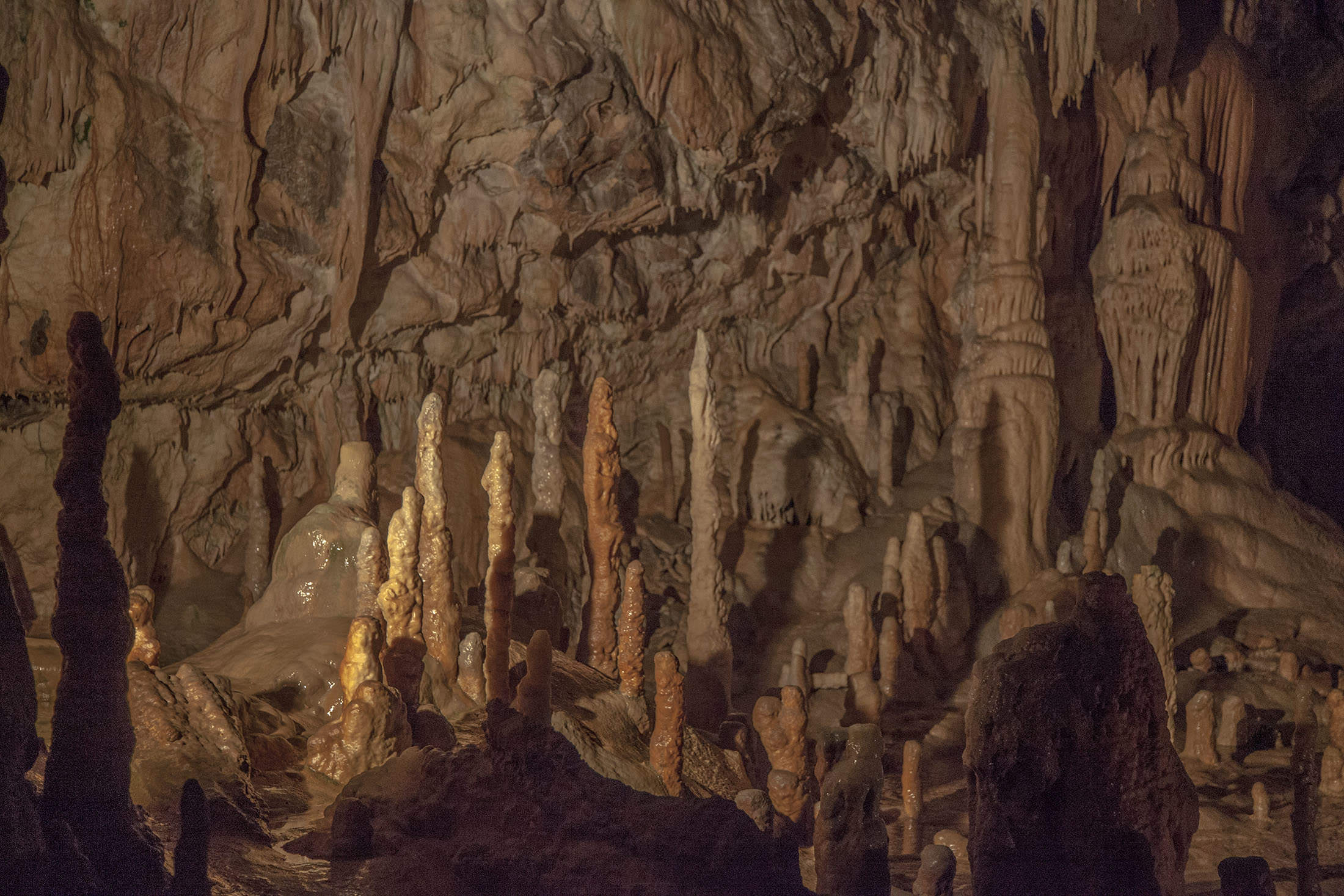 Stalagmites inside Postojna Caves Slovenia