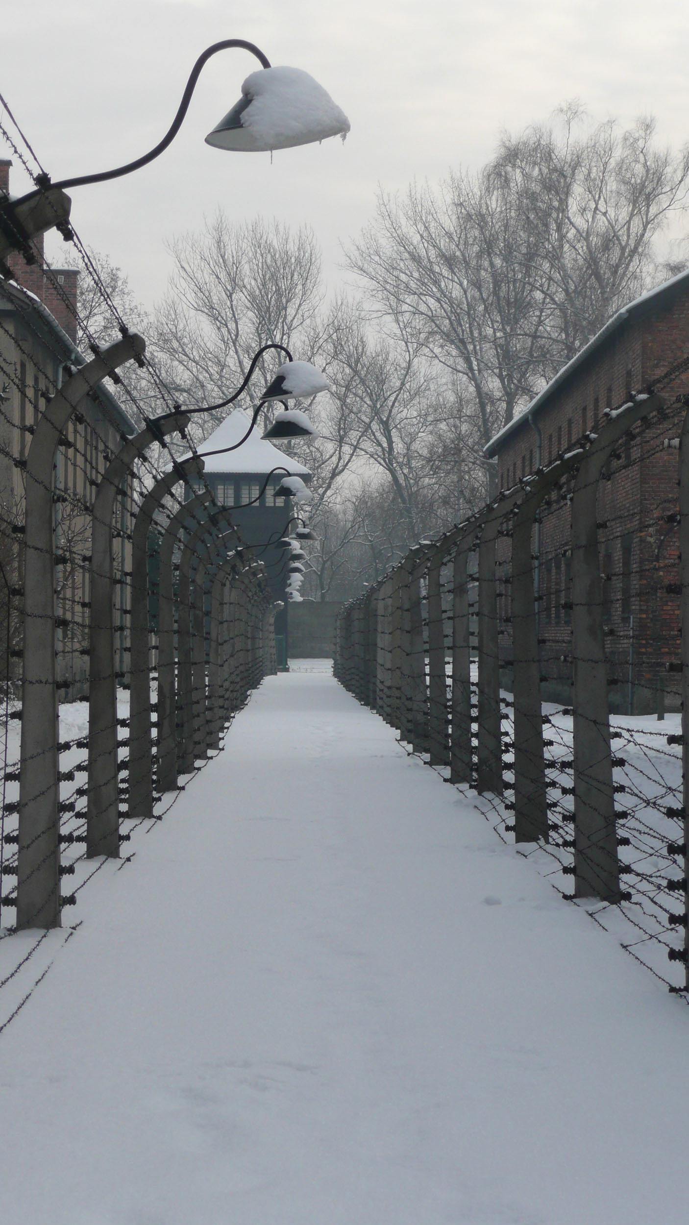 Tall fences covered in snow at Auschwitz concentration camp in Poland