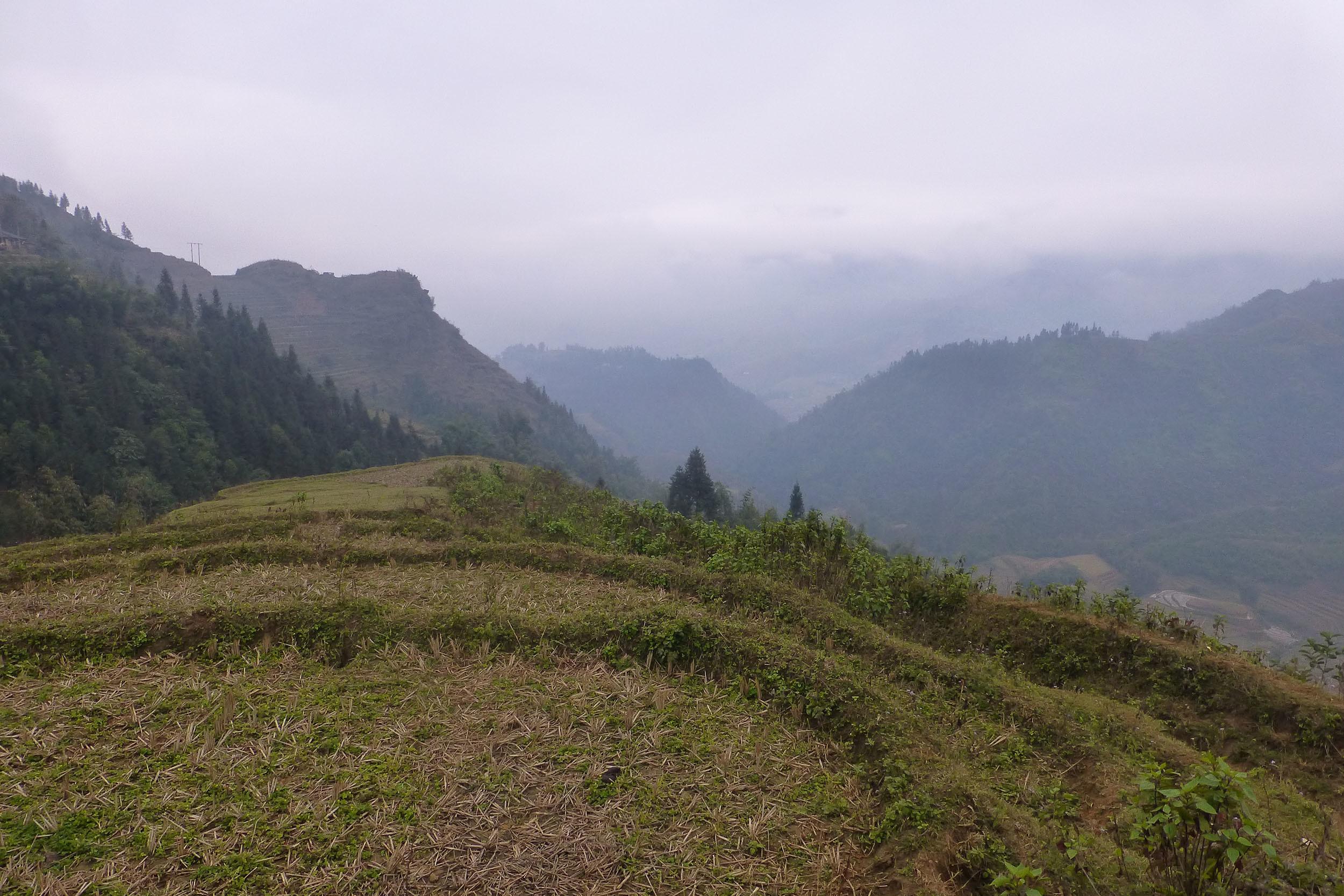 Terraced rice fields in Sa Pa Vietnam covered in mist