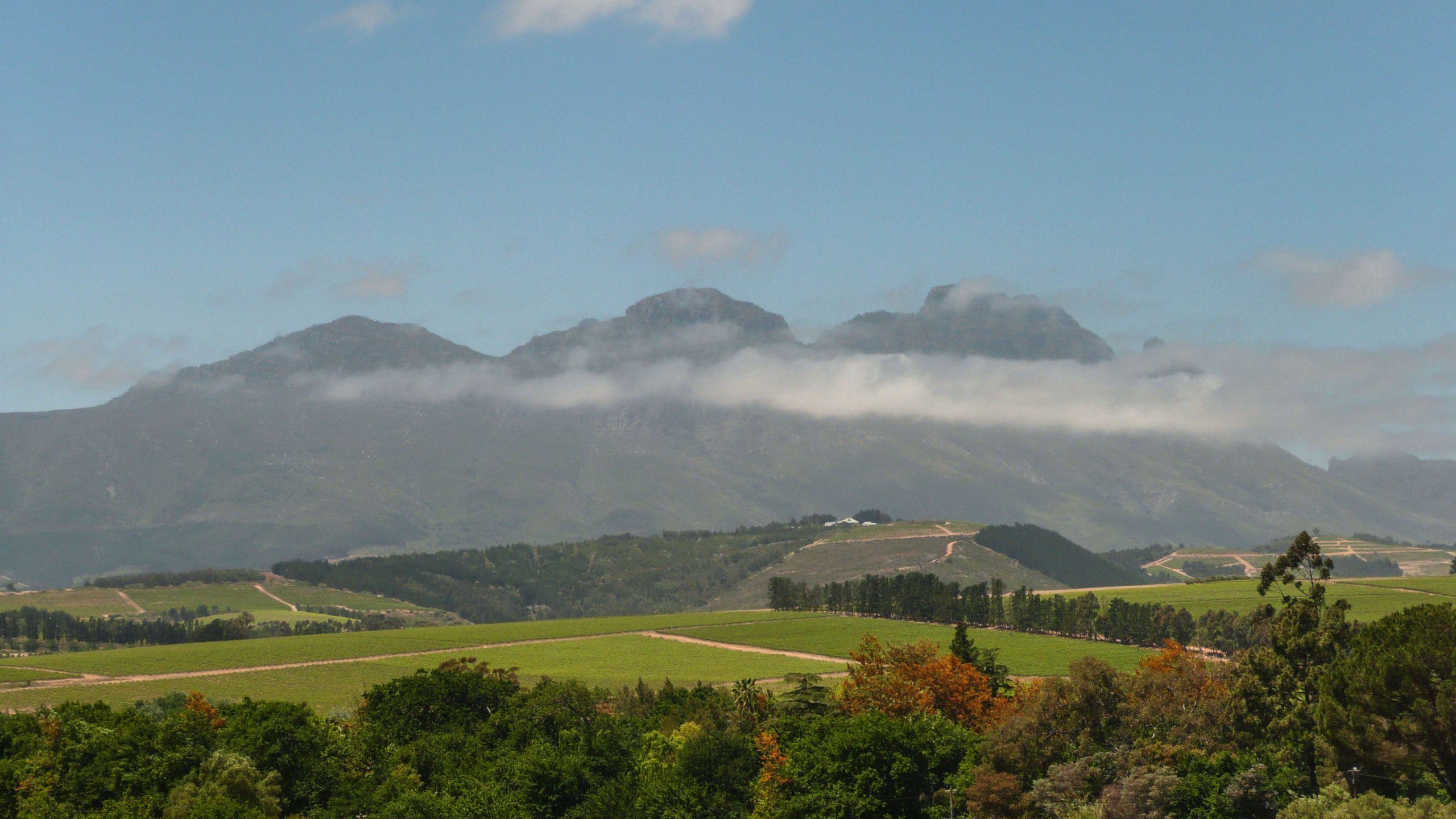 The Cape Winelands South Africa