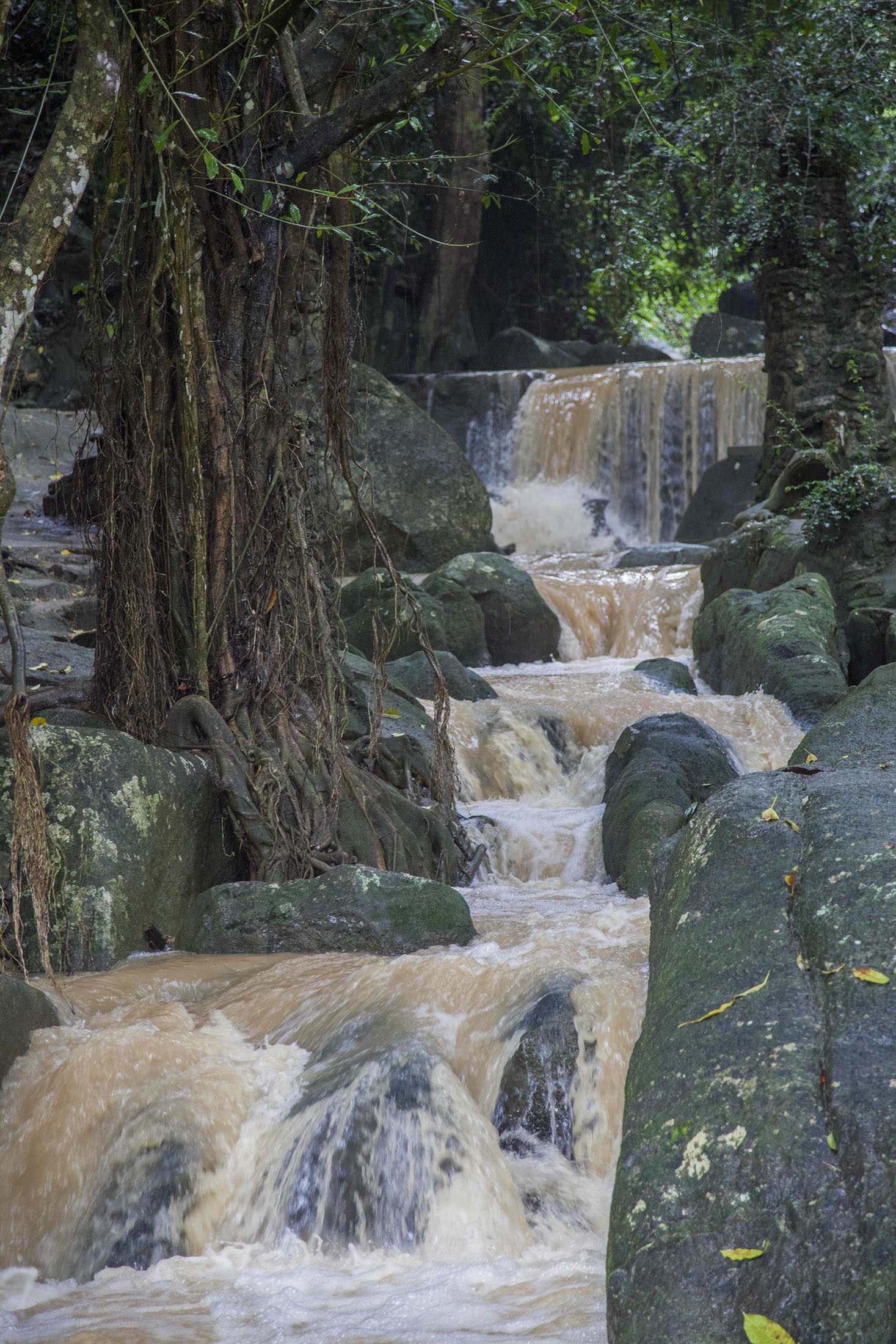 Waterfall in Tarnim Magic Garden Koh Samui Thailand