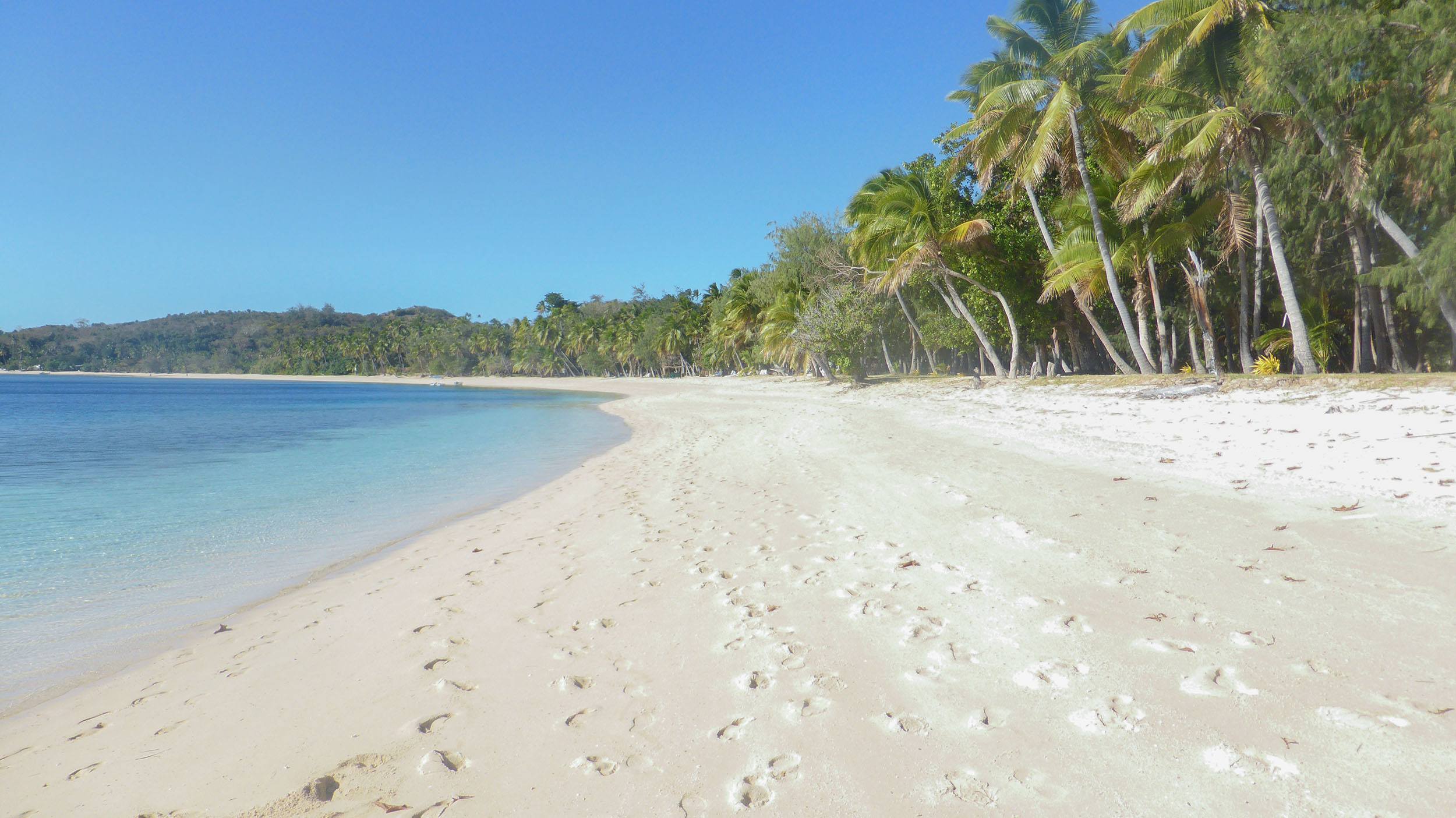 White-sand beach on Tavewa Island Fiji