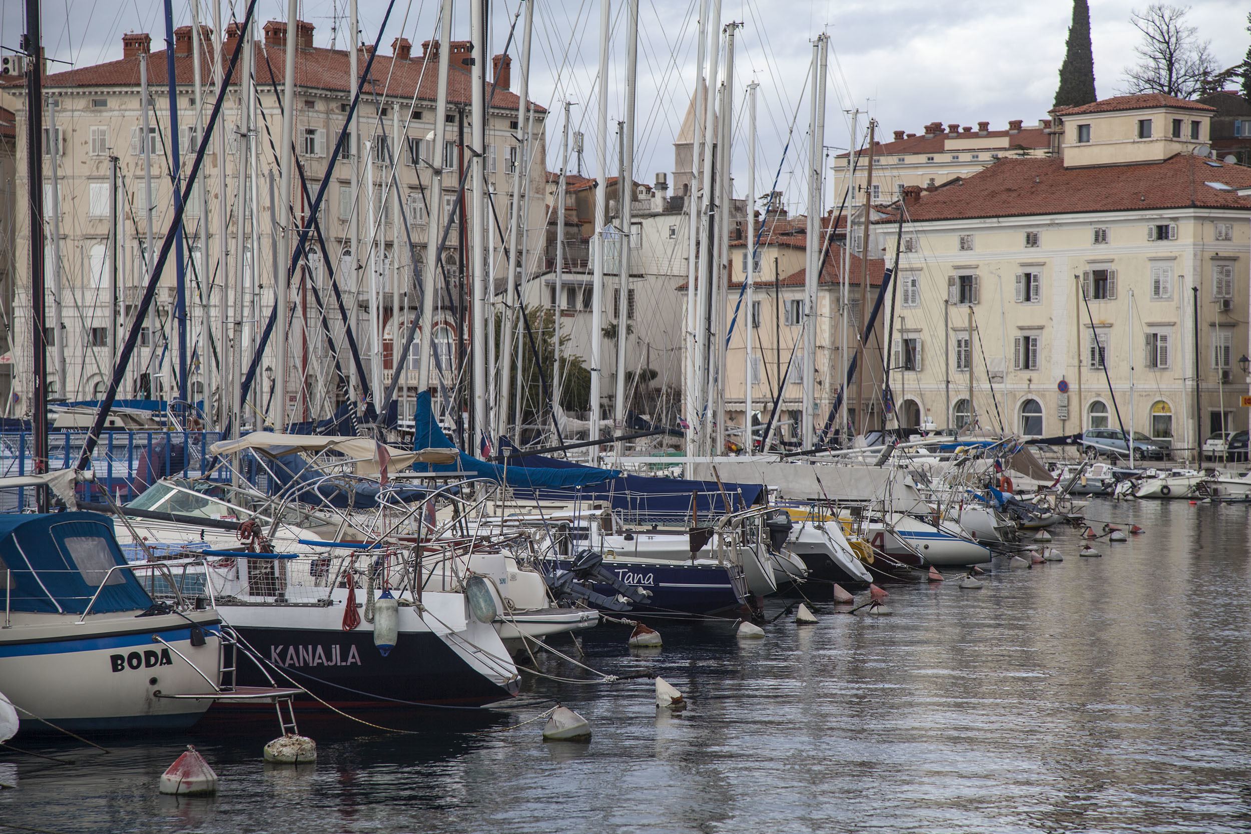 Yachts in Piran Harbour Slovenia