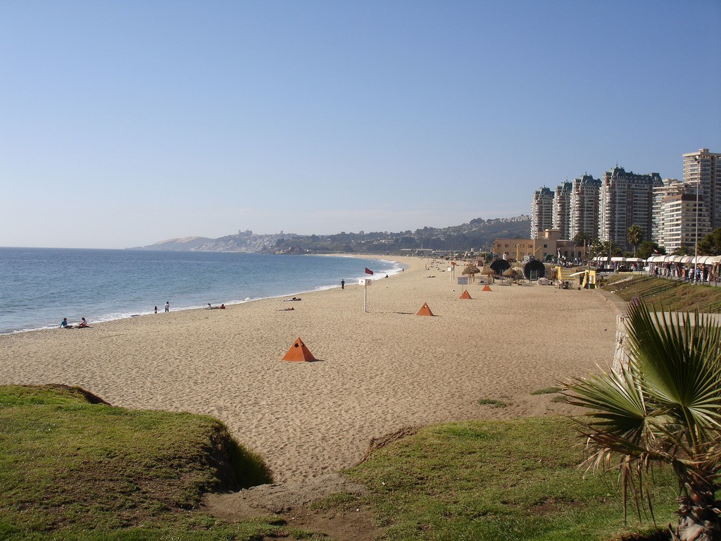 Beach of Viña del Mar fringed by palms Chile