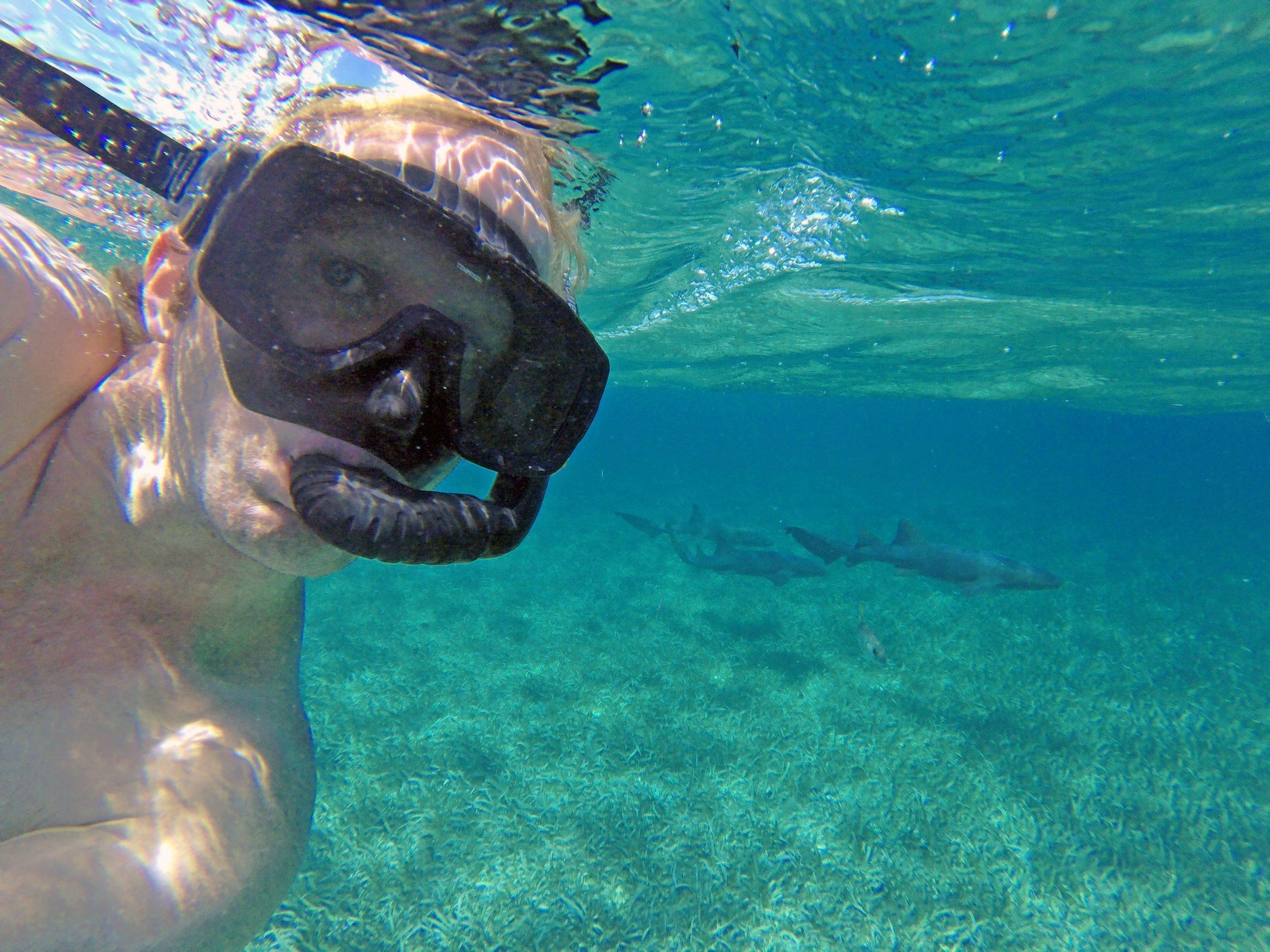 Ben snorkelling at Shark and Ray Alley Belize