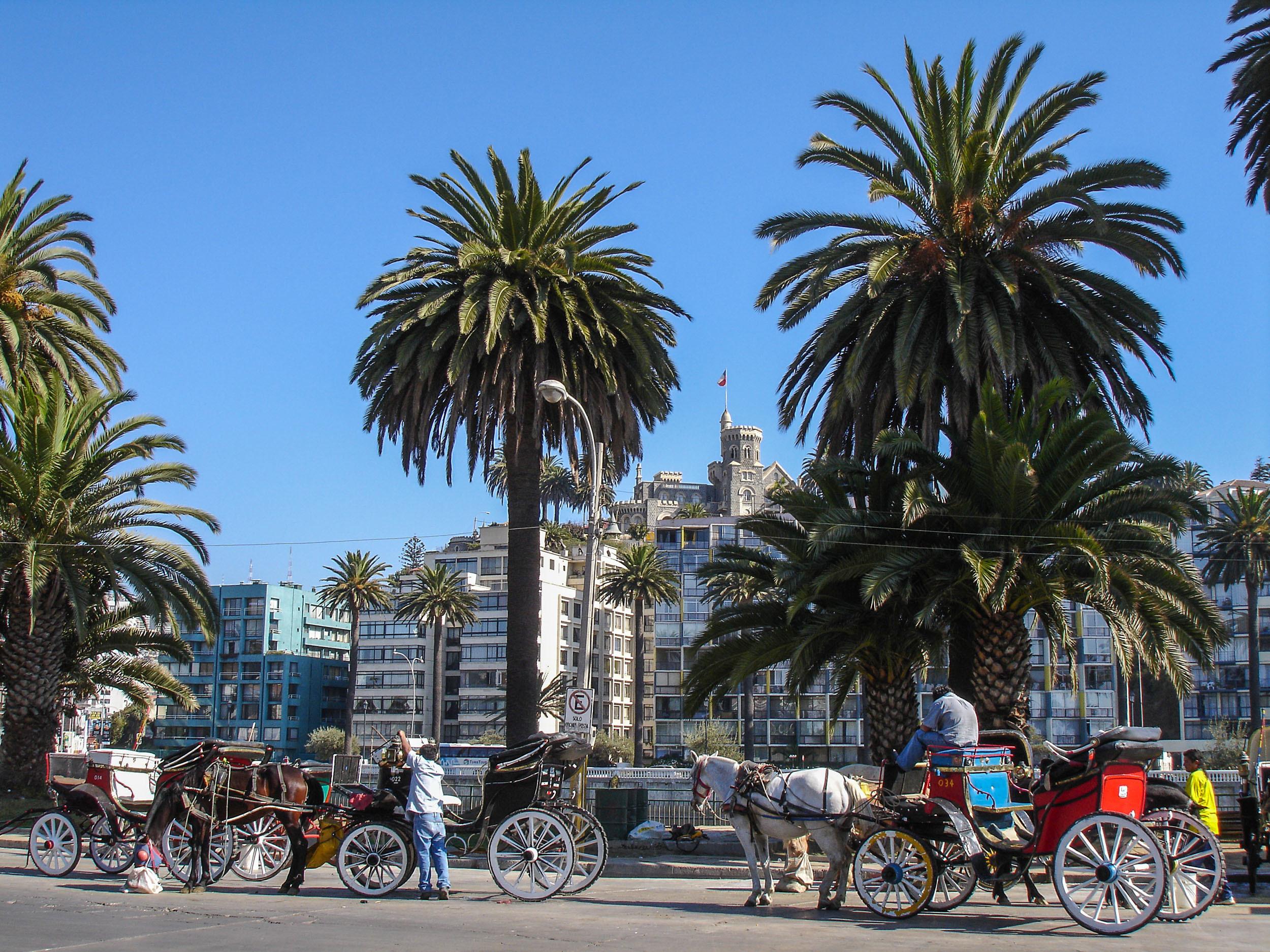 Carriages beside beach in Viña del Mar Chile