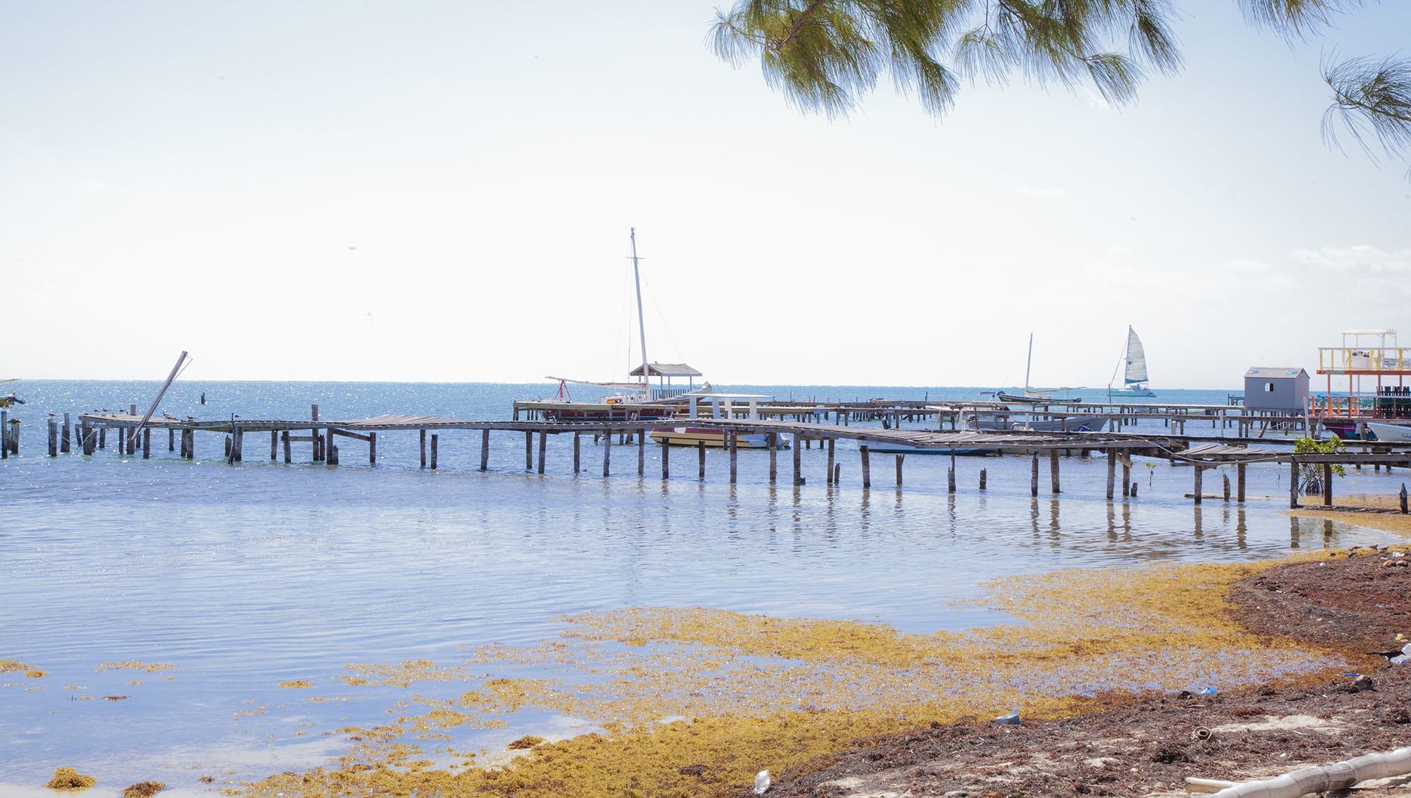 Jetty on Caye Caulker Belize