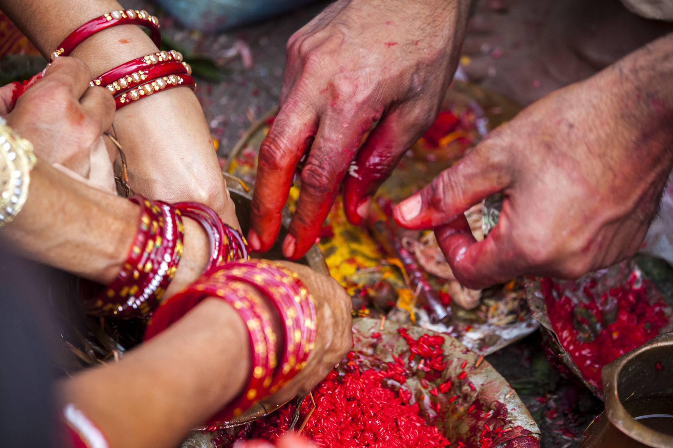 Multiple hands on gulal and rice mixture platter Kathmandu Nepal