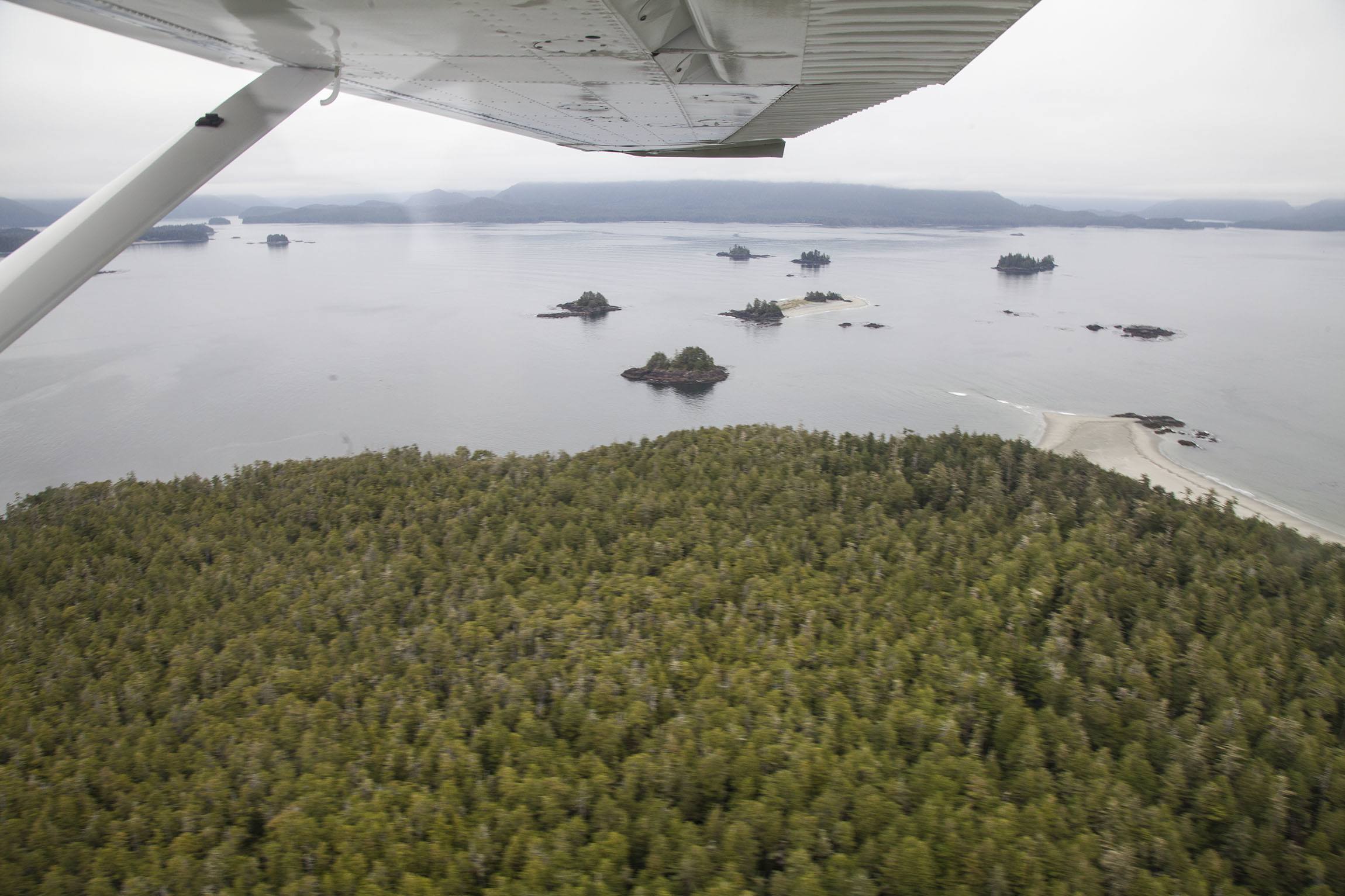 Sea plane ride above Tofino Vancouver Island Canada