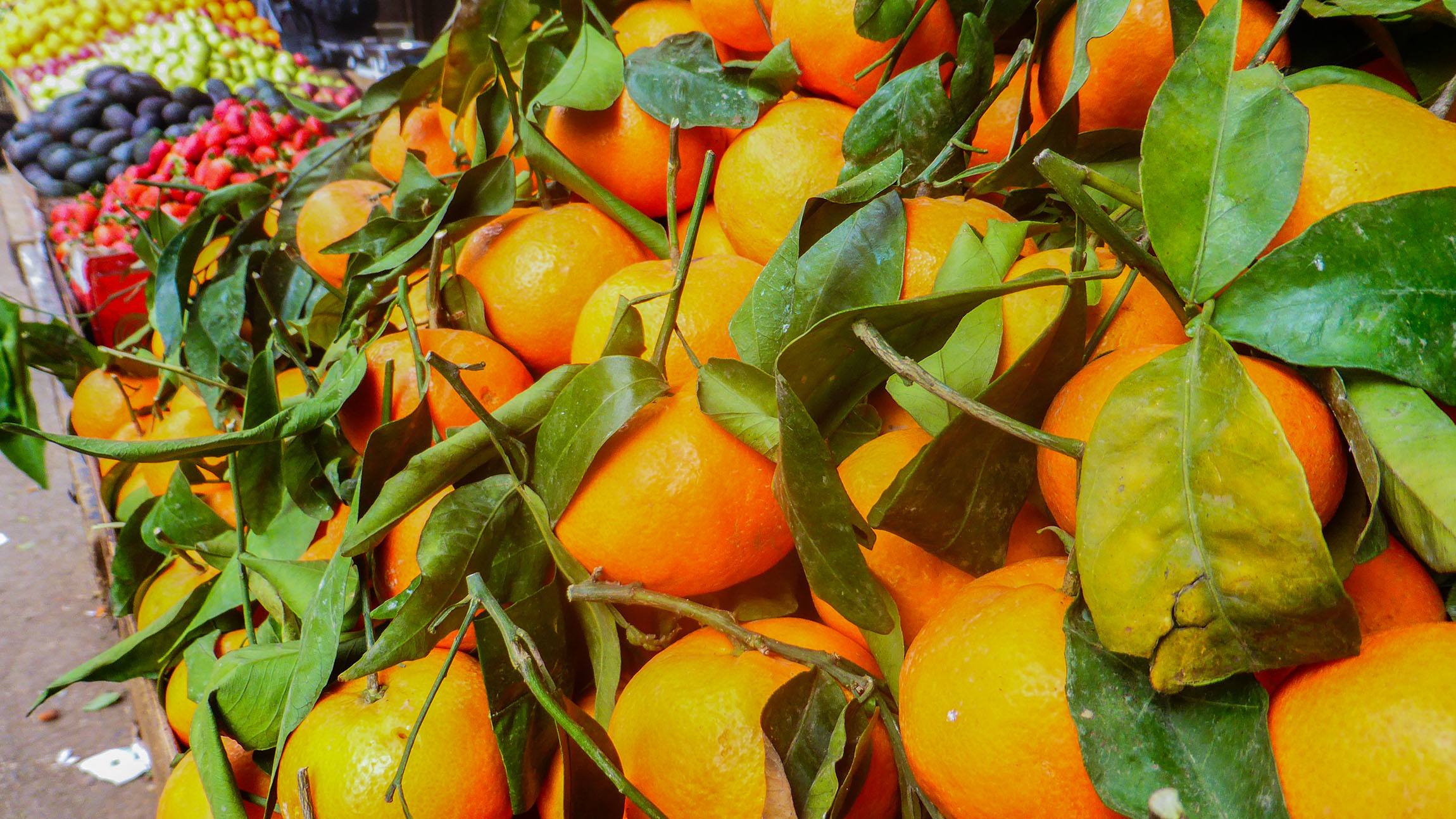 Fresh fruit for sale at a market in Ramallah Palestine