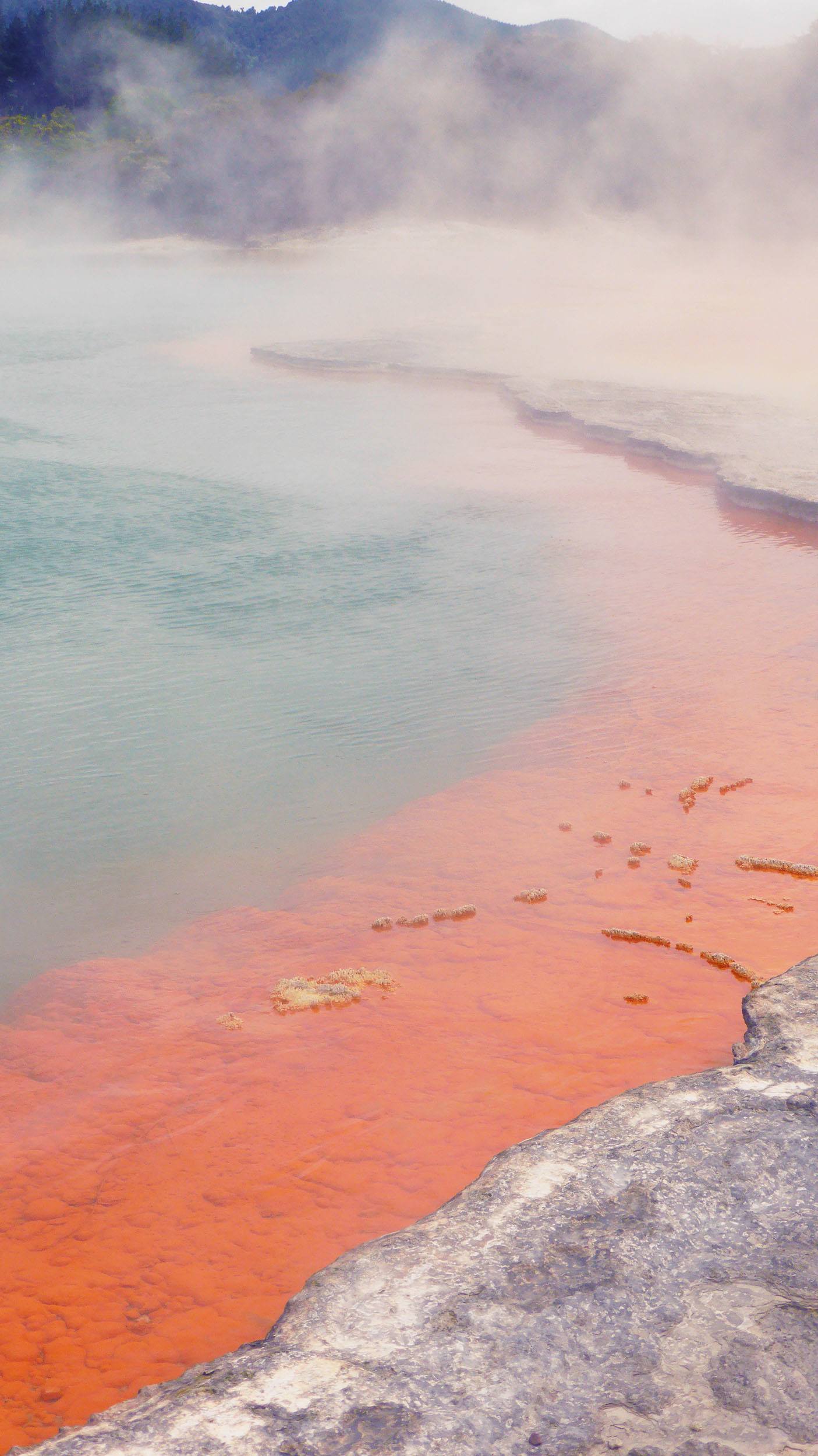 Champagne Pool Wai-o-tapu Geothermal Wonderland Rotorua North Island New Zealand 2