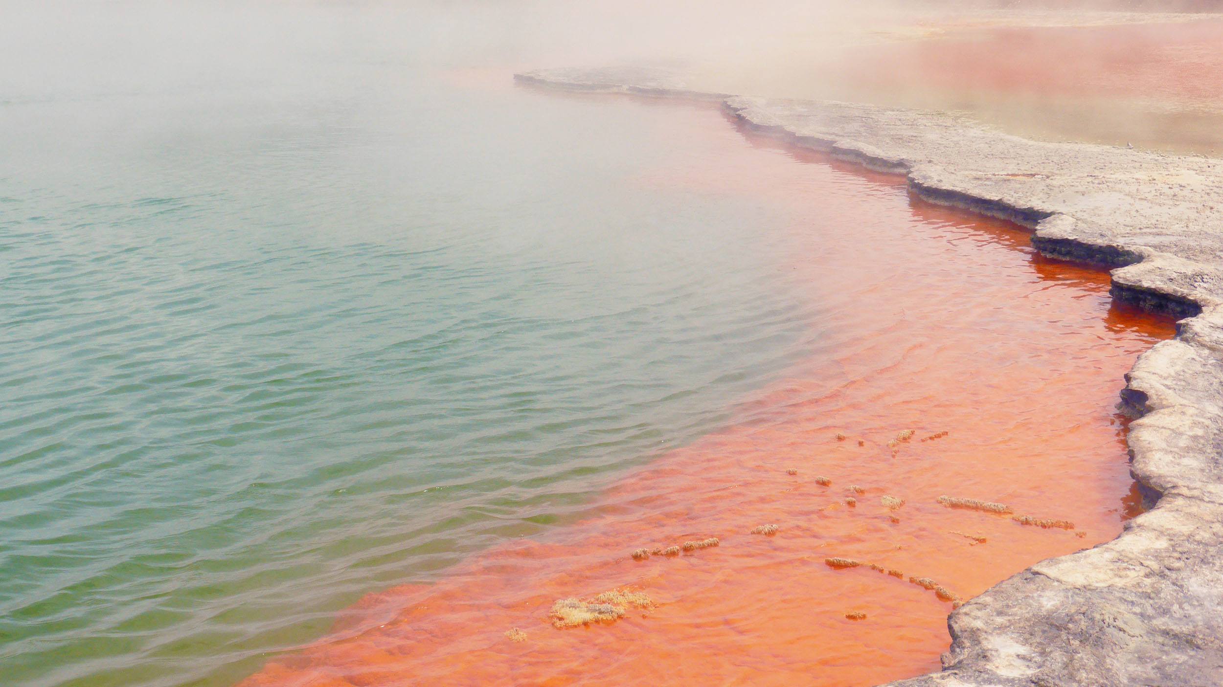 Champagne Pool Wai-o-tapu Geothermal Wonderland Rotorua North Island New Zealand 4