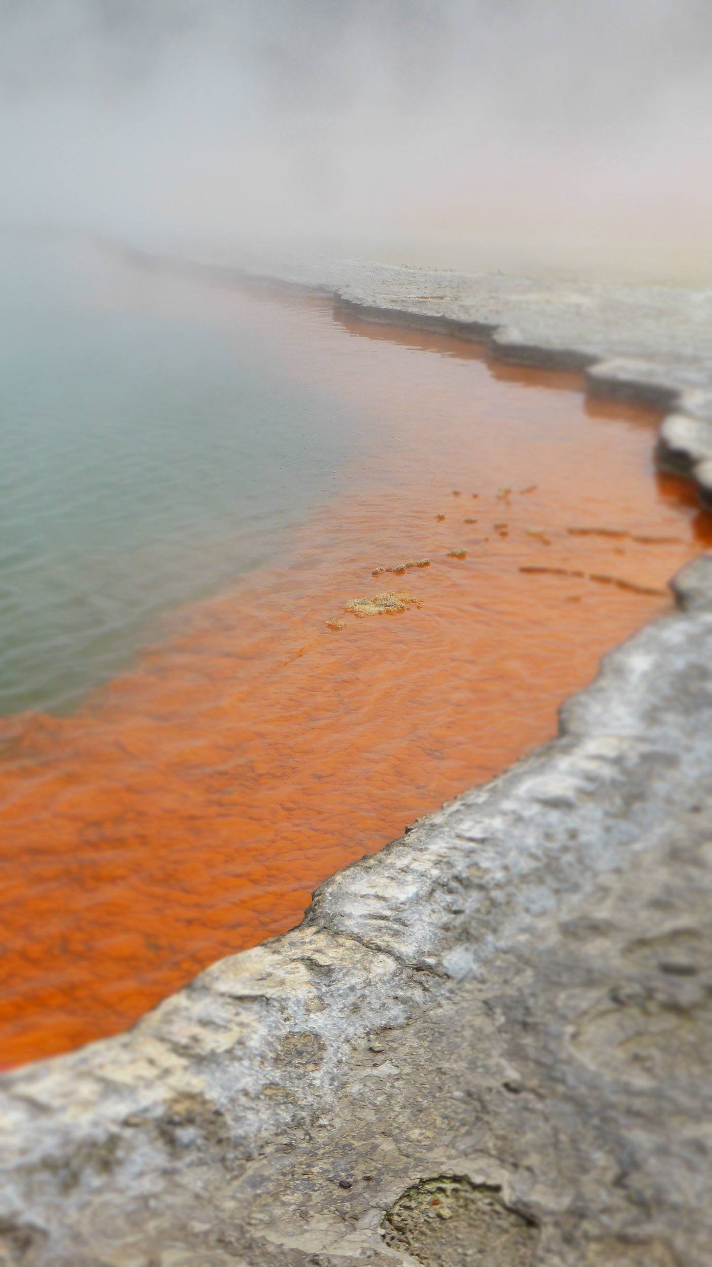 Champagne Pool Wai-o-tapu Geothermal Wonderland Rotorua North Island New Zealand