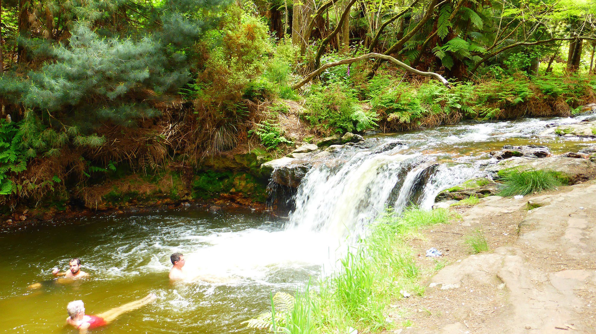 Kerosense Creek Rotorua North Island New Zealand