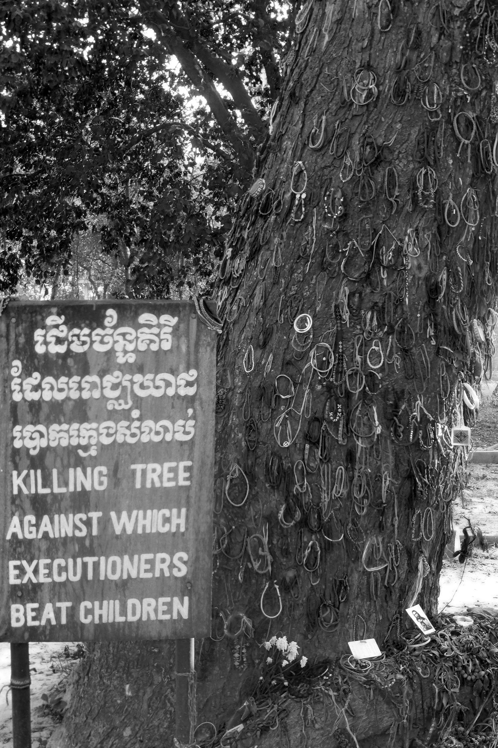 Killing tree at the Killing Fields Phnom Penh Cambodia