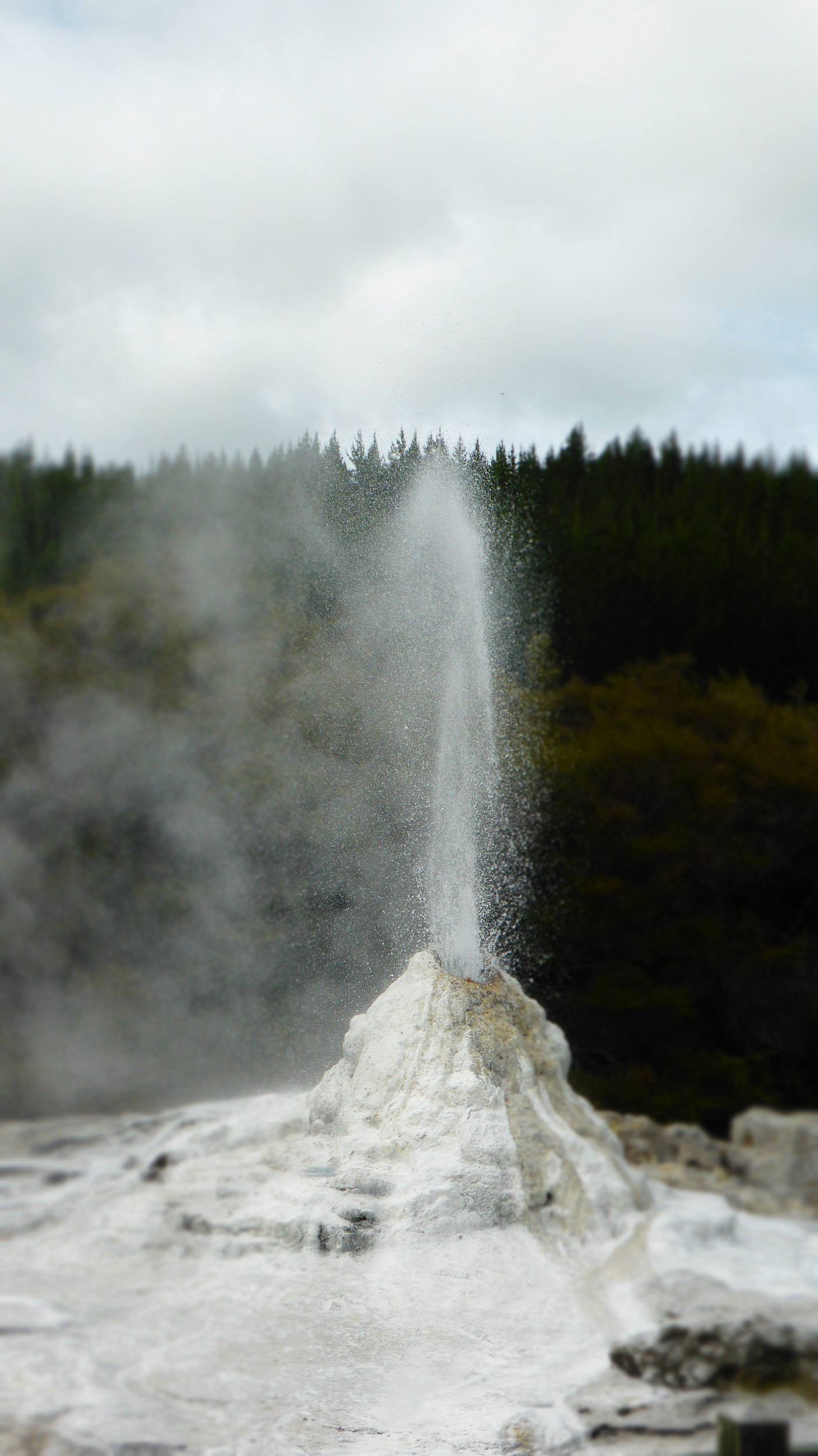 Lady Knox Geyser Wai-o-tapu Geothermal Wonderland Rotorua North Island New Zealand 2