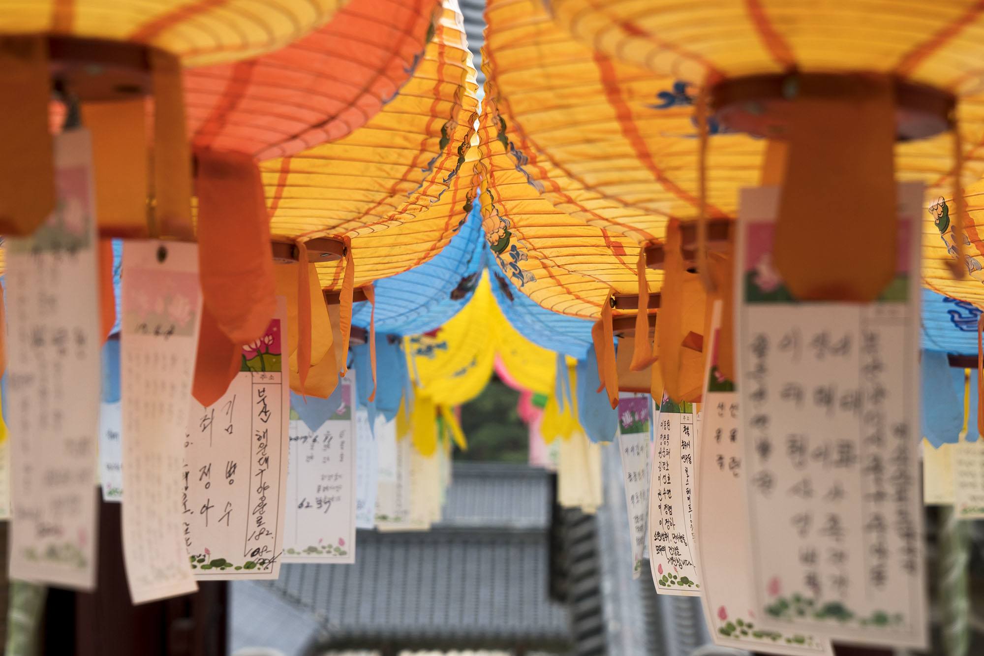 Lanterns hanging in Bulguksa Gyeongju Republic of Korea