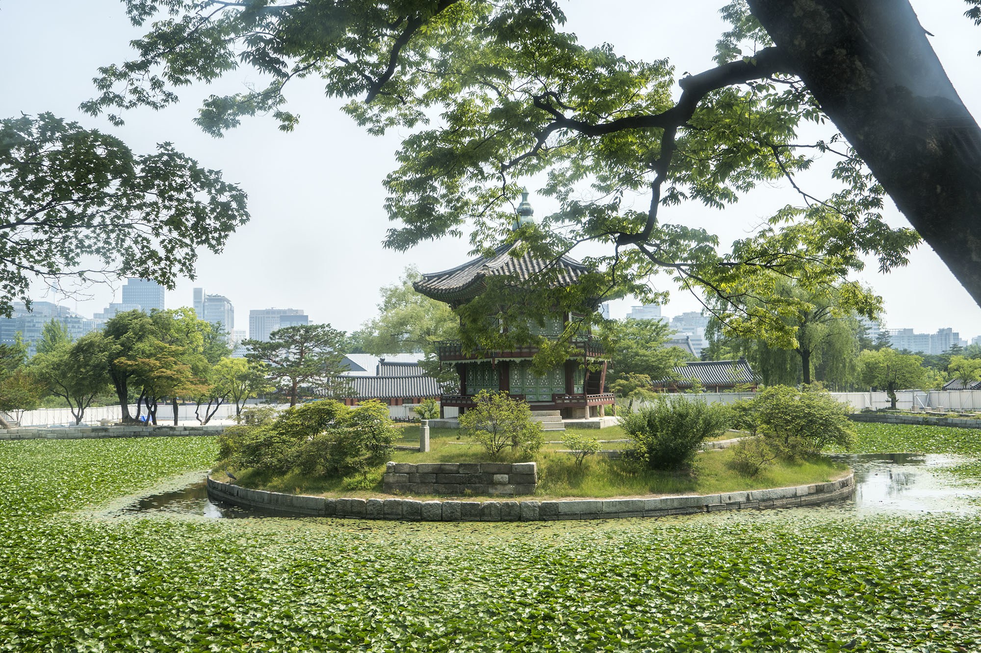 Pond and island within Gyeongbokgung Palace Seoul Republic of Korea