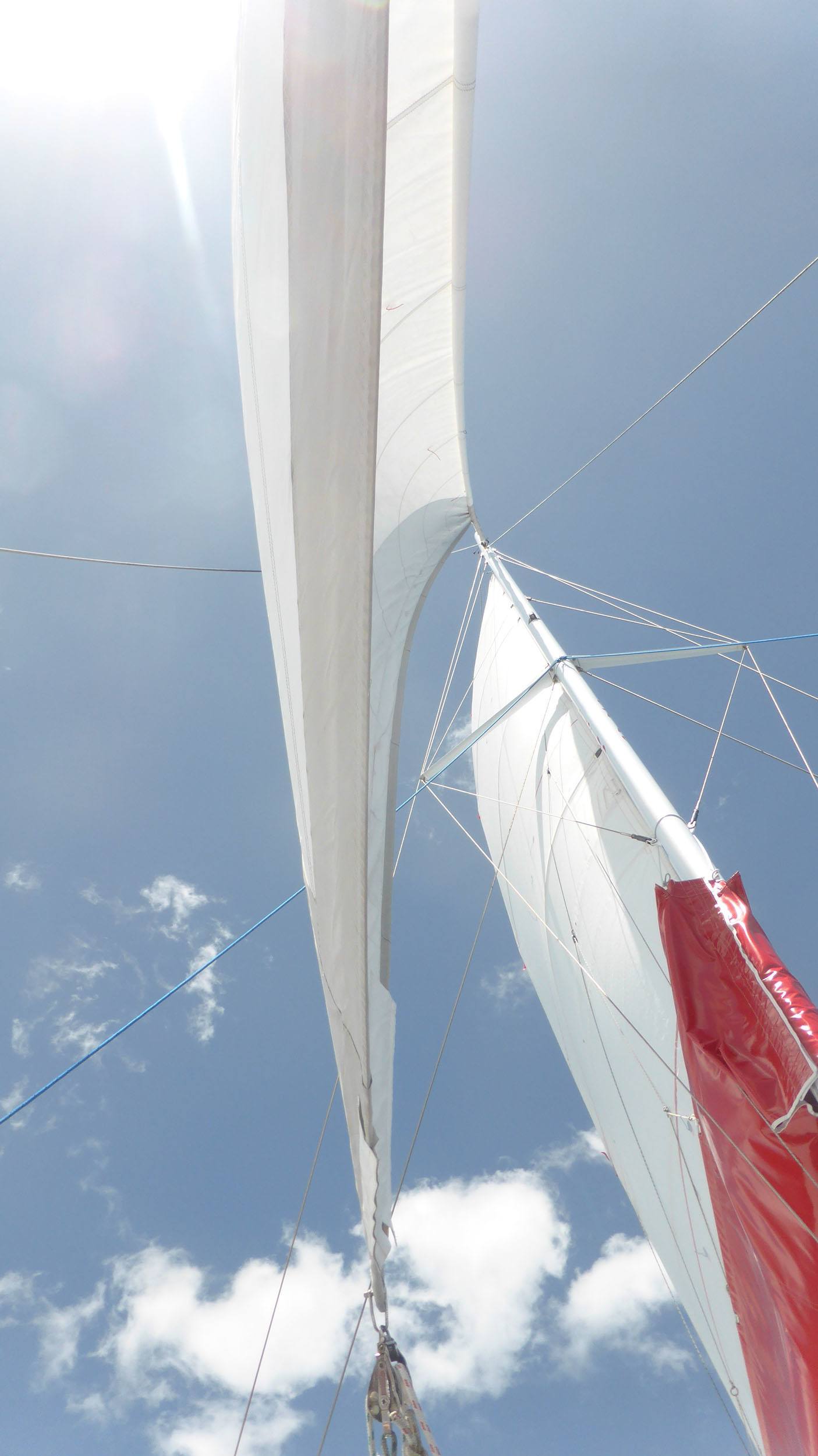 Sail of catamaran North Island New Zealand