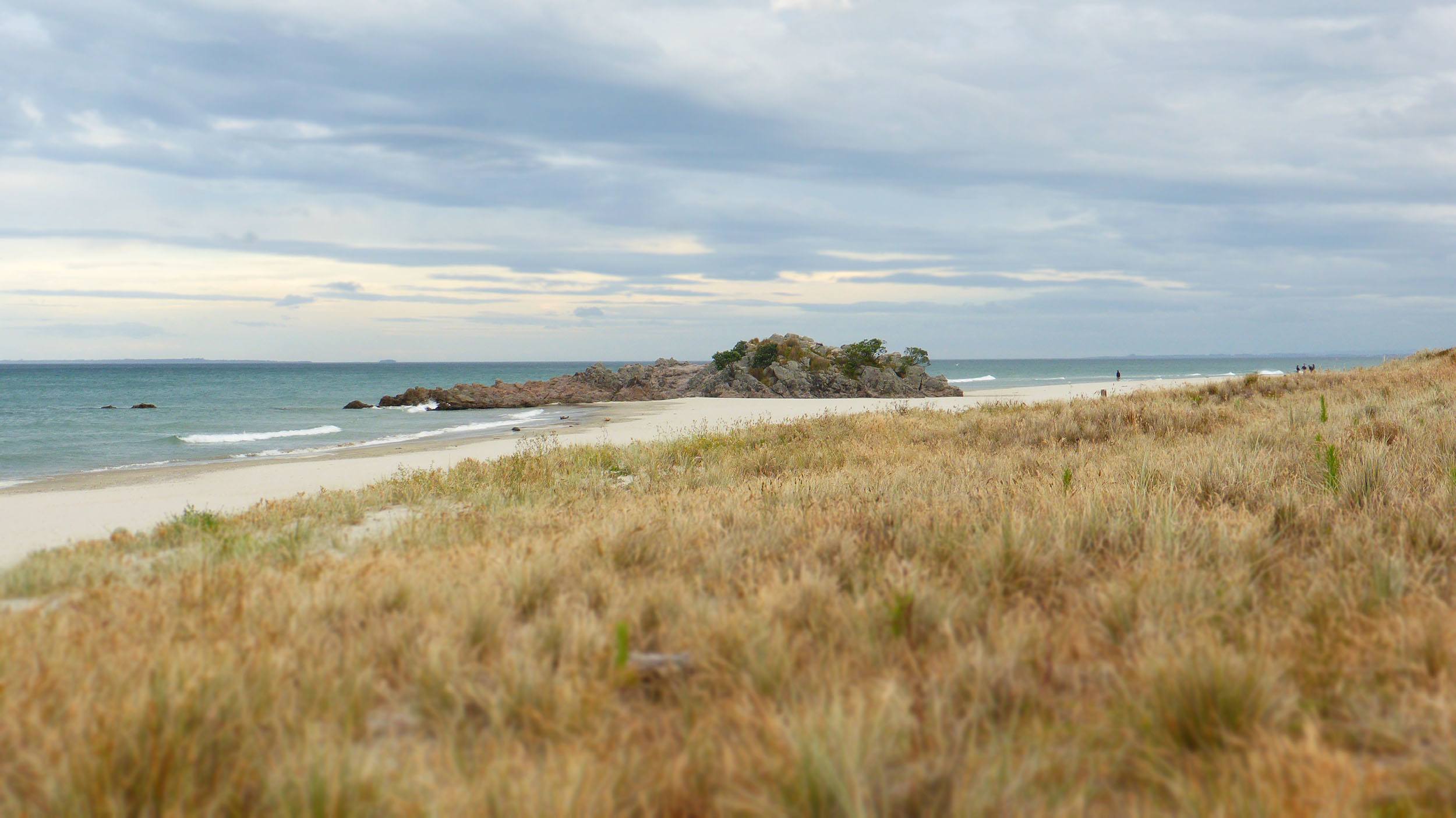 Tauranga beach North Island New Zealand