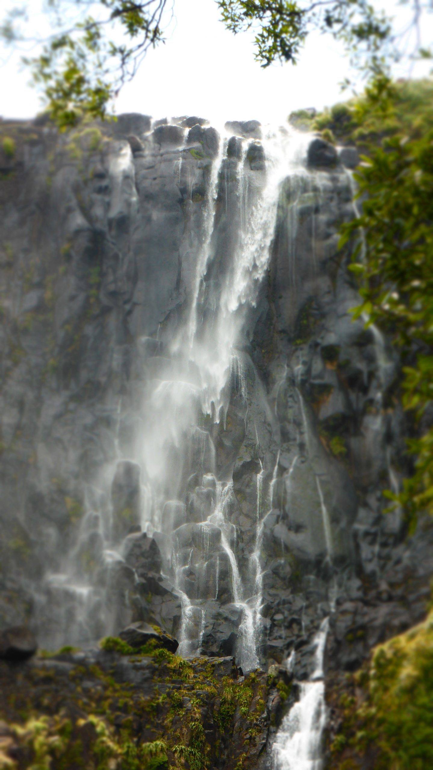 Wairere Falls on the North Island New Zealand