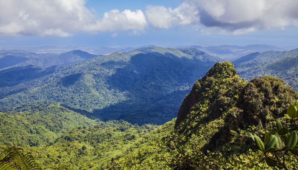 A panoramic point in El Yunque National Park Puerto Rico USA