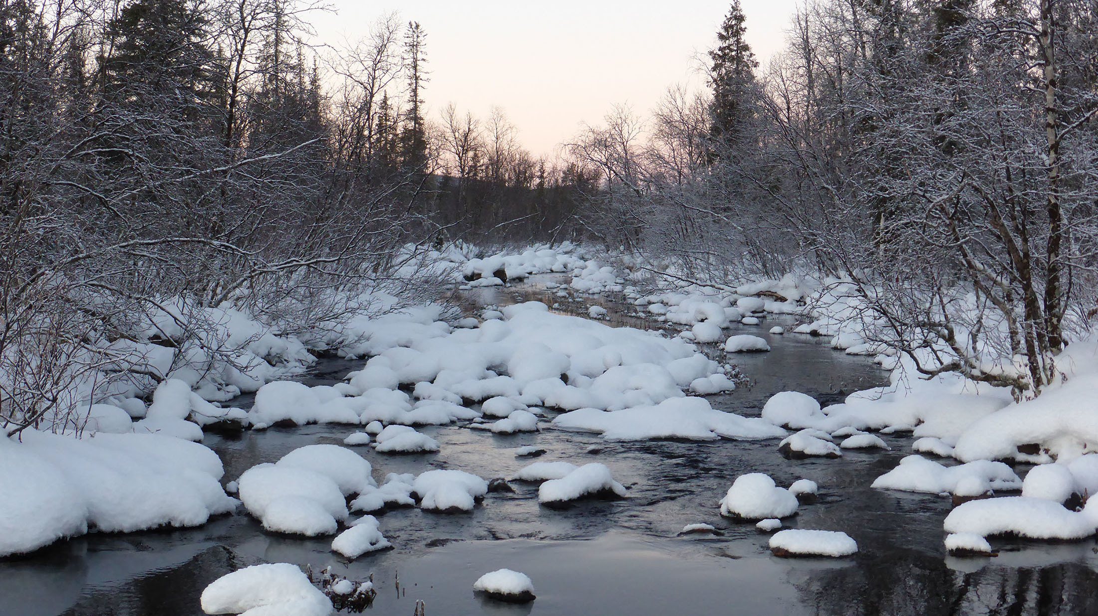 Creek by Camp Alta Kiruna Sweden