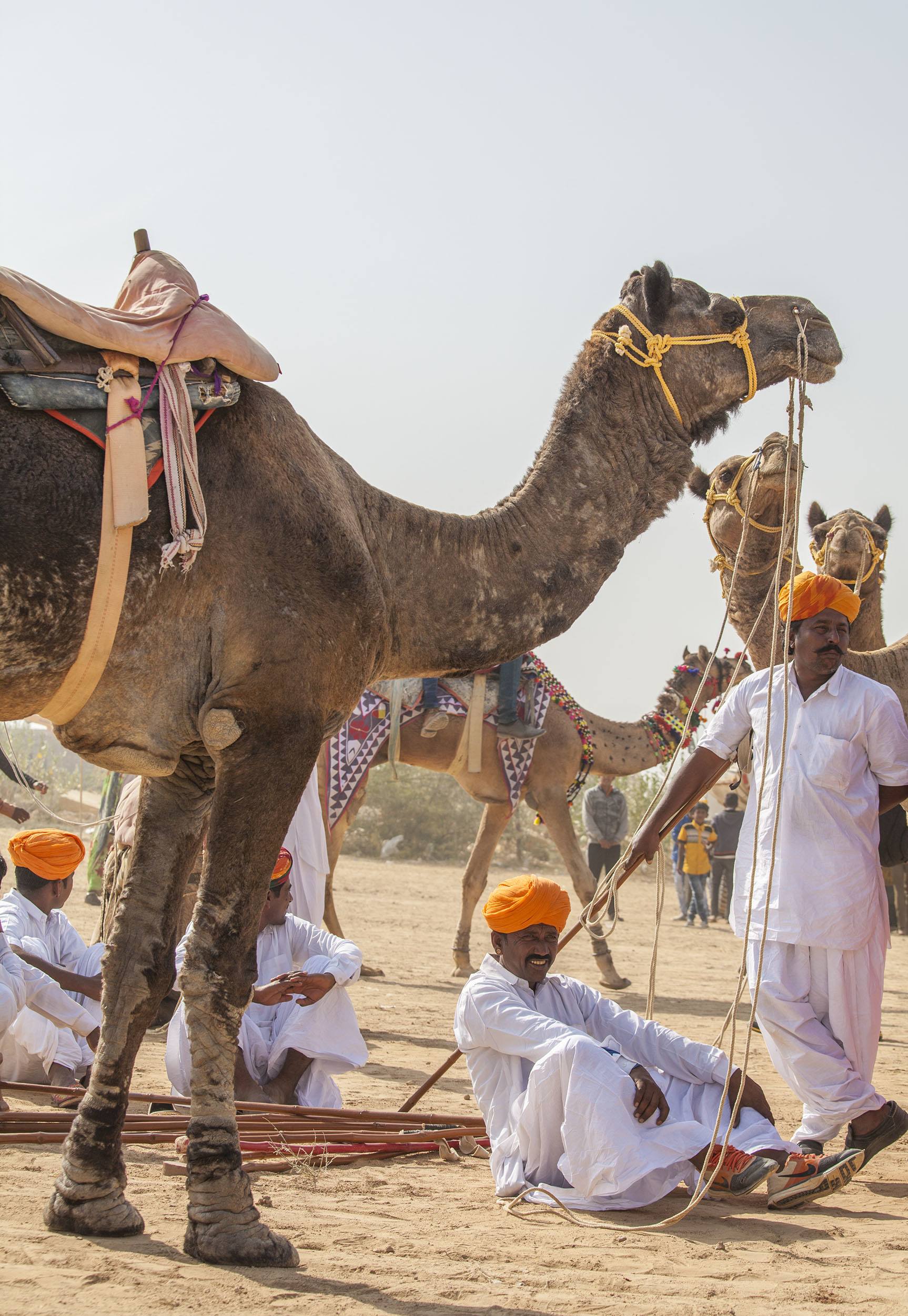 Men with orange turbans and camels in Jaisalmer India