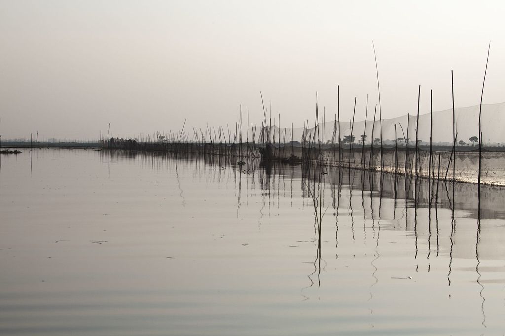 Nets in water near Srimangal Bangladesh