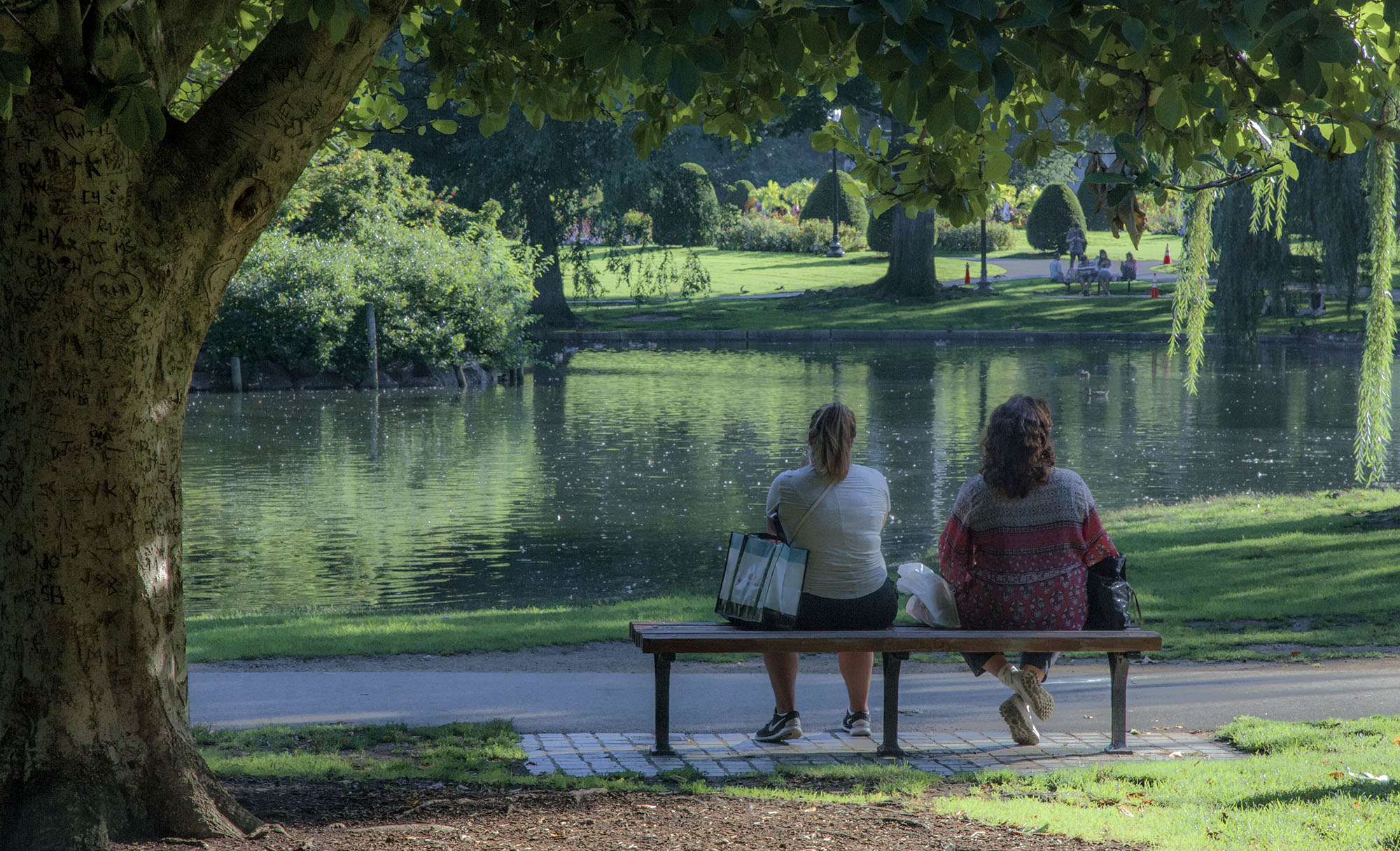 People sitting on a bench in Boston Common Boston USA